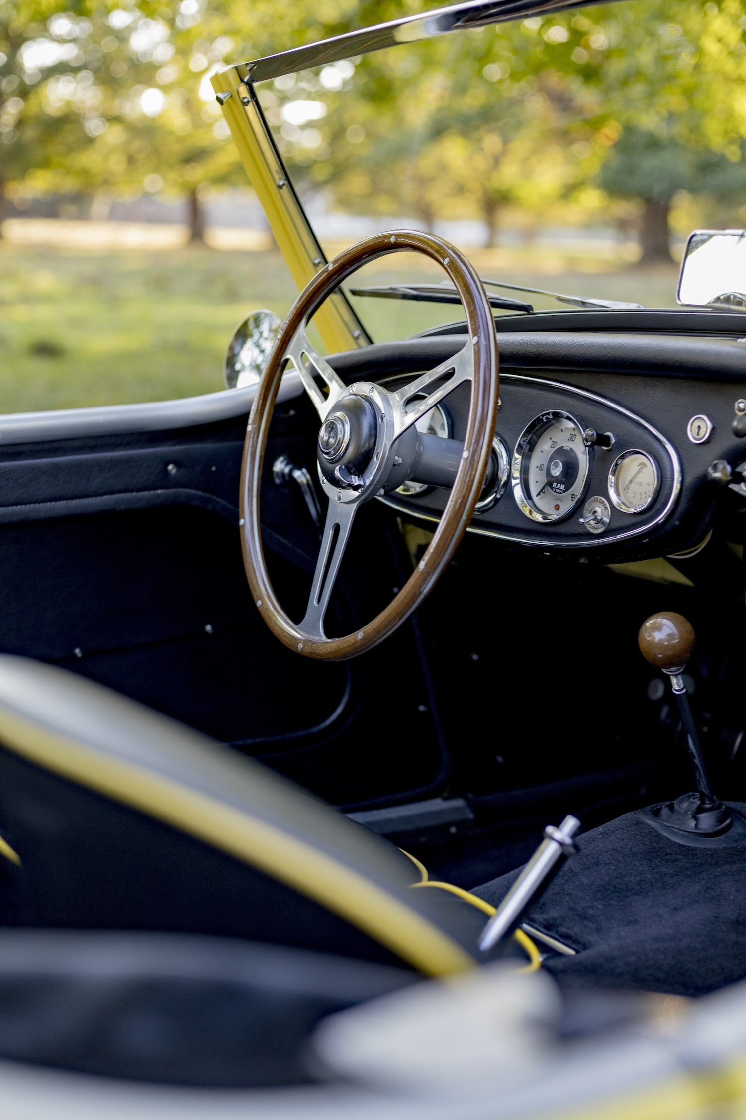 Used Austin Healey 2018 for sale - 76382617: Photo 51