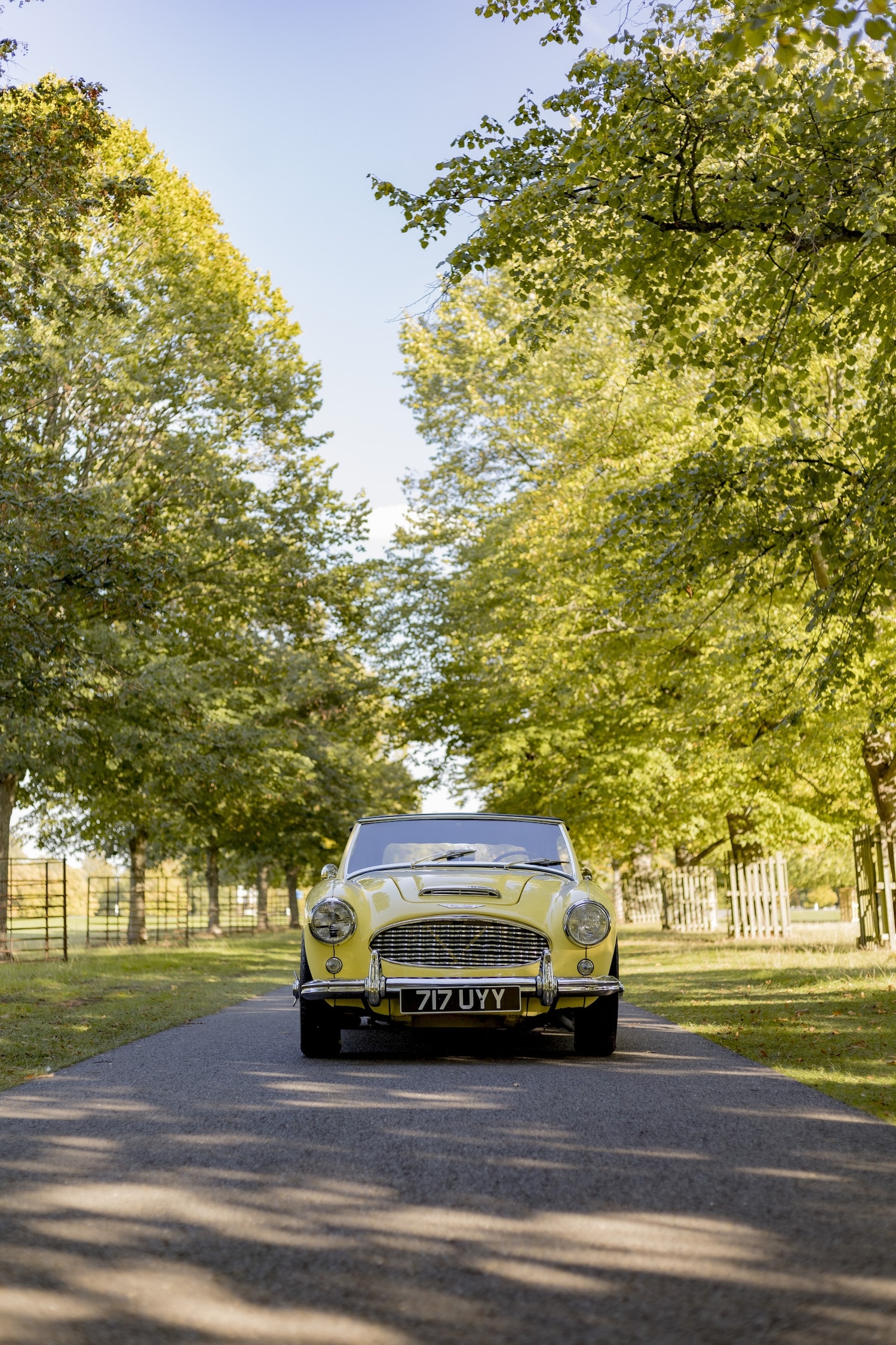 Used Austin Healey 2018 for sale - 76382617: Photo 7