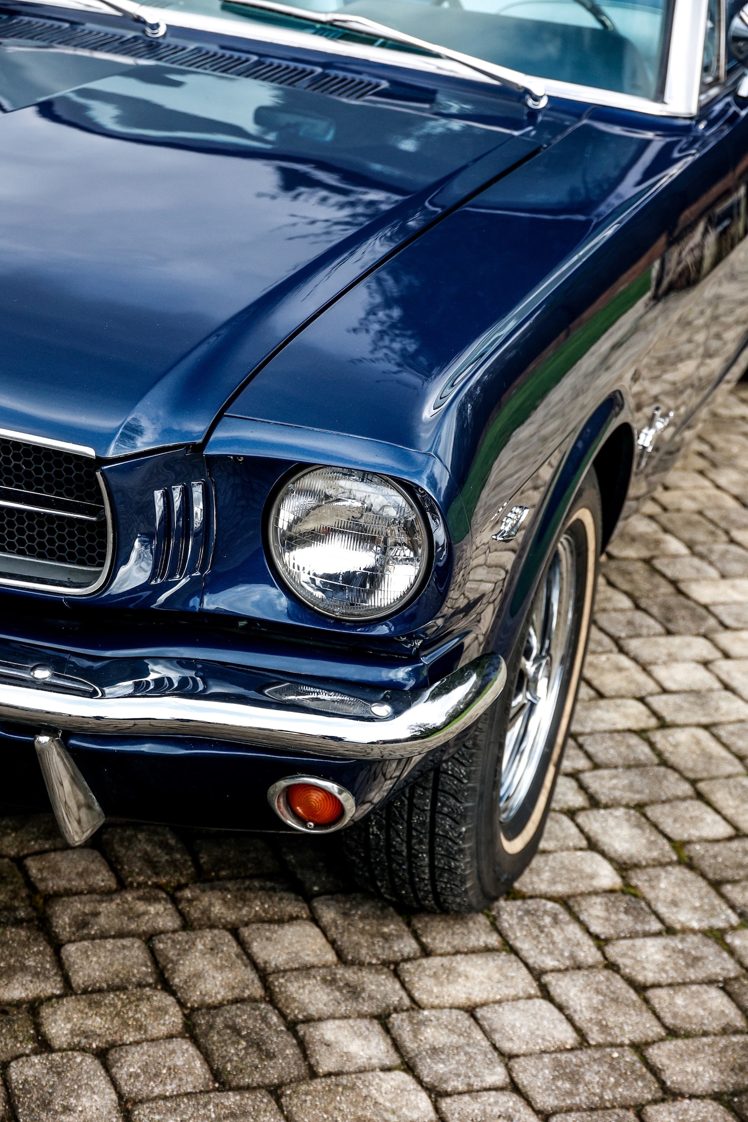 Used Ford Mustang 1965 for sale - 77528934: Photo 11