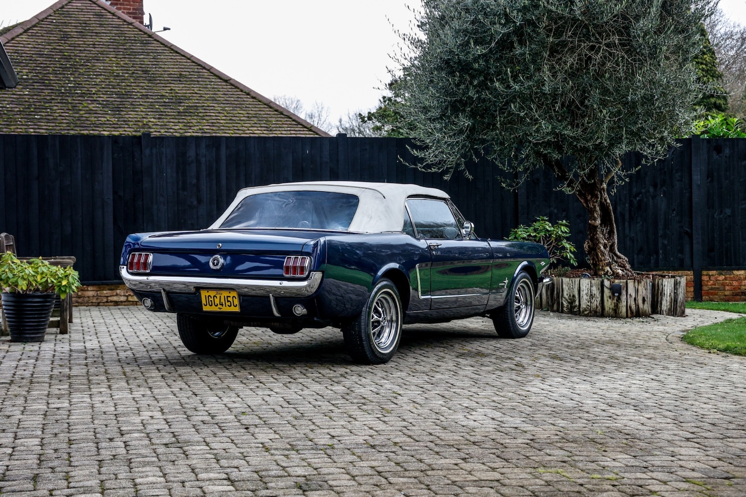 Used Ford Mustang 1965 for sale - 77528934: Photo 13