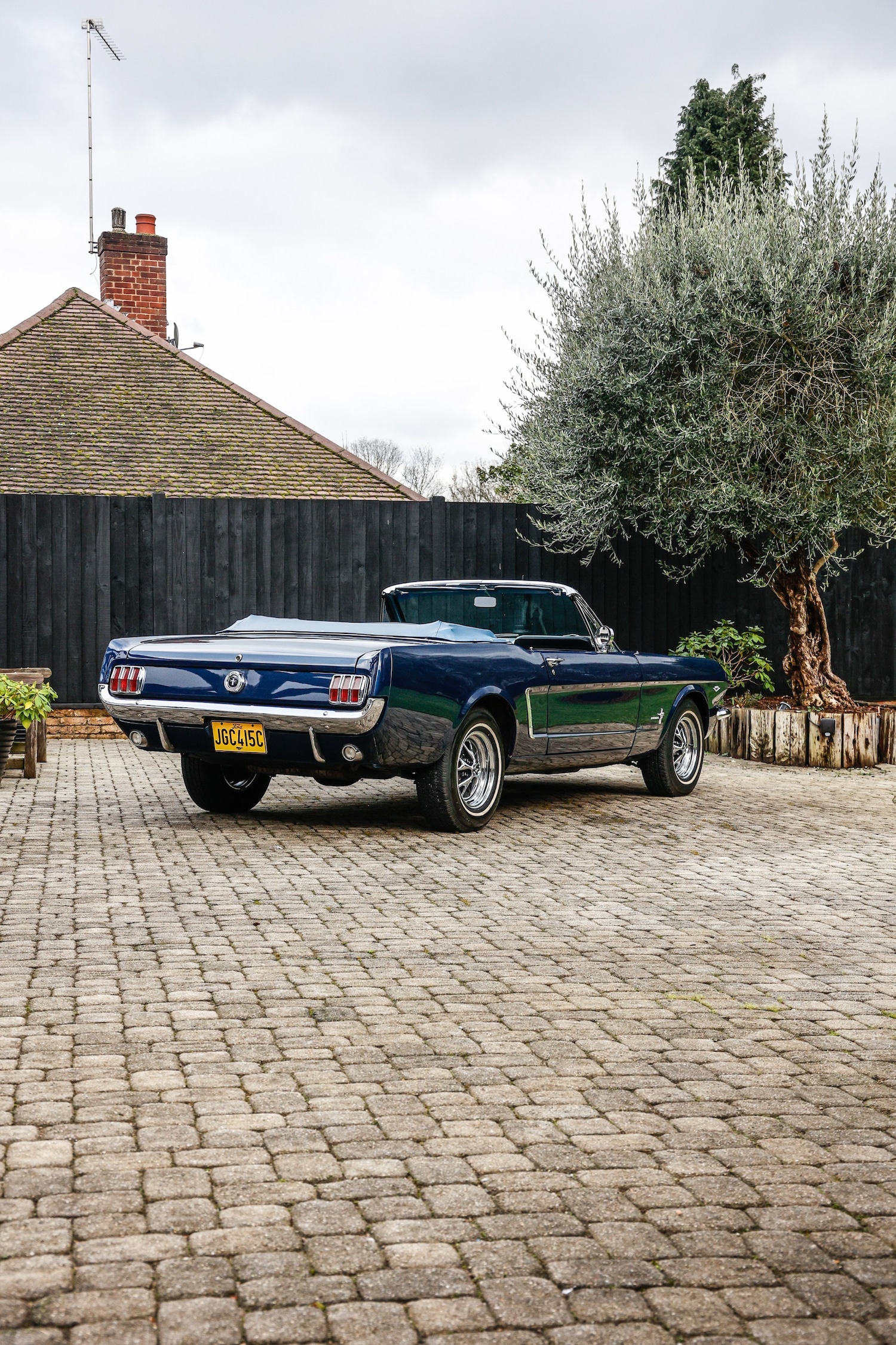 Used Ford Mustang 1965 for sale - 77528934: Photo 15