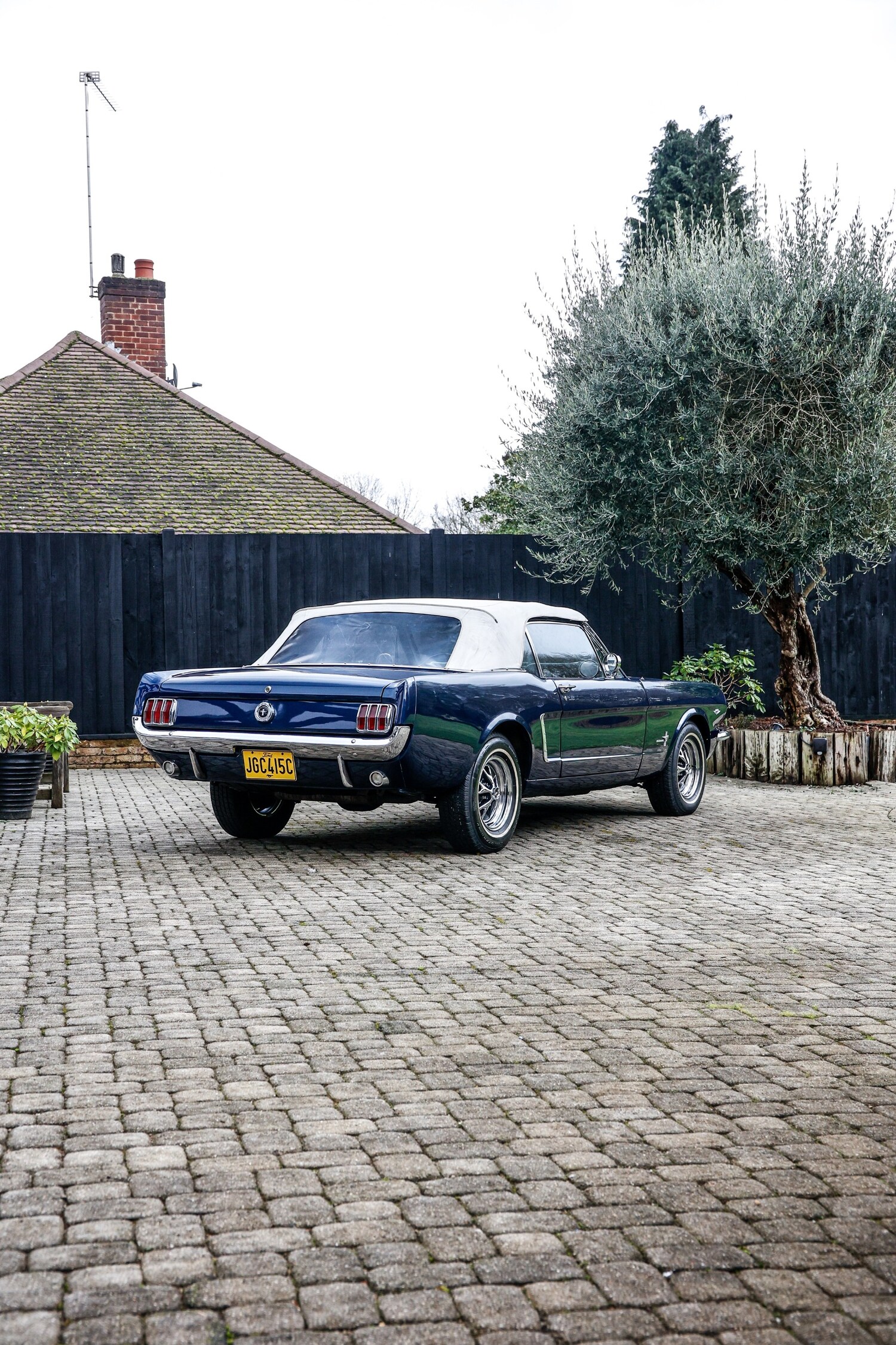 Used Ford Mustang 1965 for sale - 77528934: Photo 18