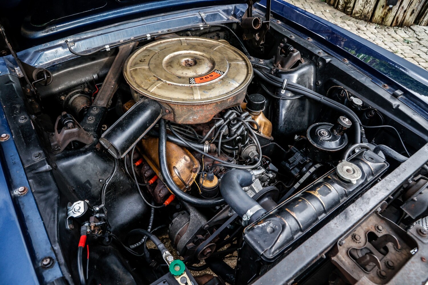 Used Ford Mustang 1965 for sale - 77528934: Photo 38