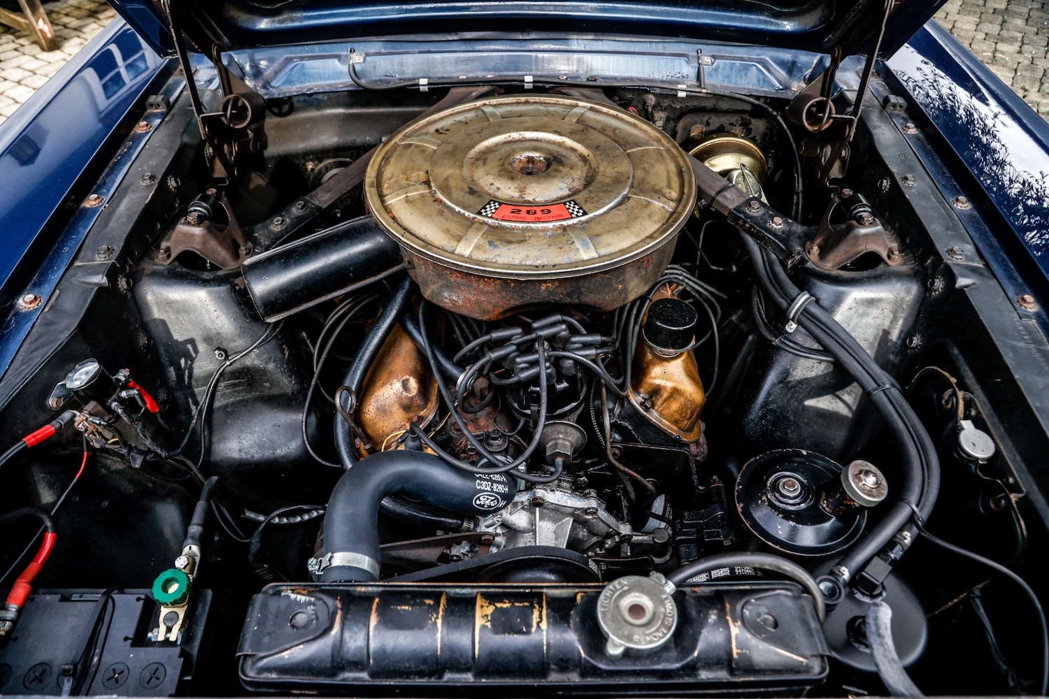 Used Ford Mustang 1965 for sale - 77528934: Photo 39