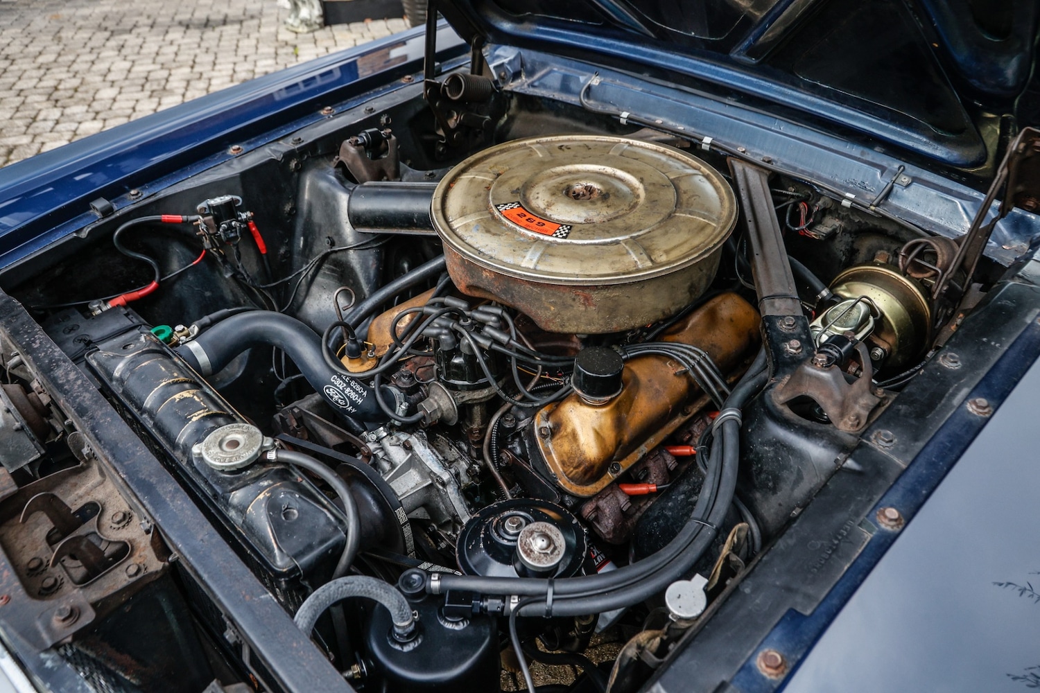 Used Ford Mustang 1965 for sale - 77528934: Photo 5