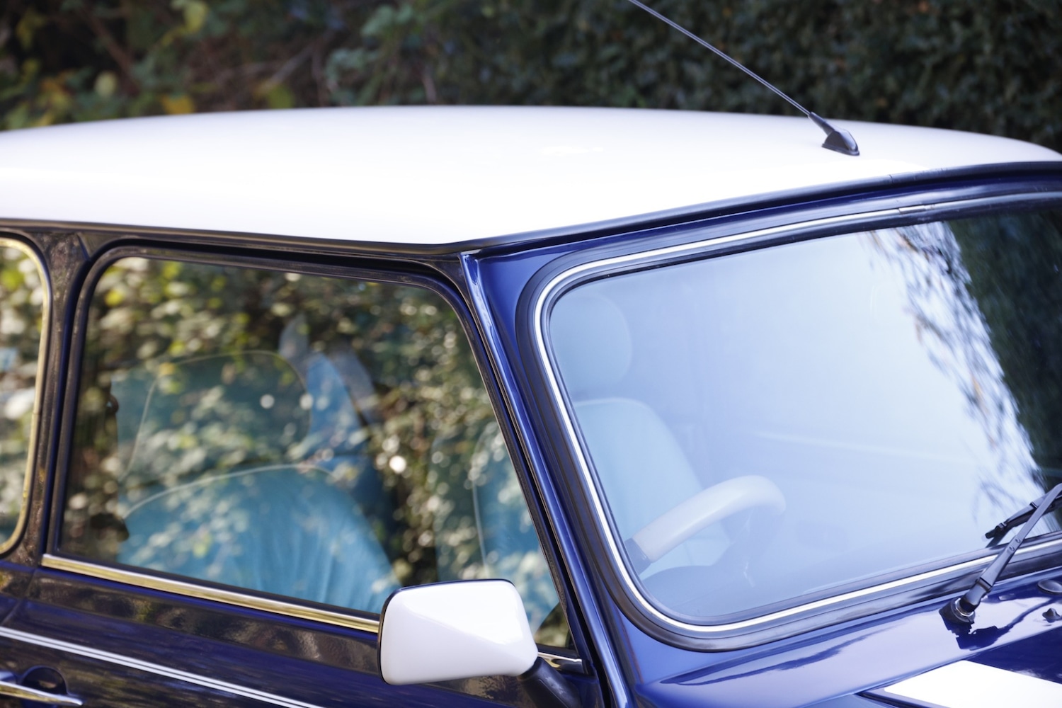 Used Rover Mini 1999 for sale - 77530470: Photo 10