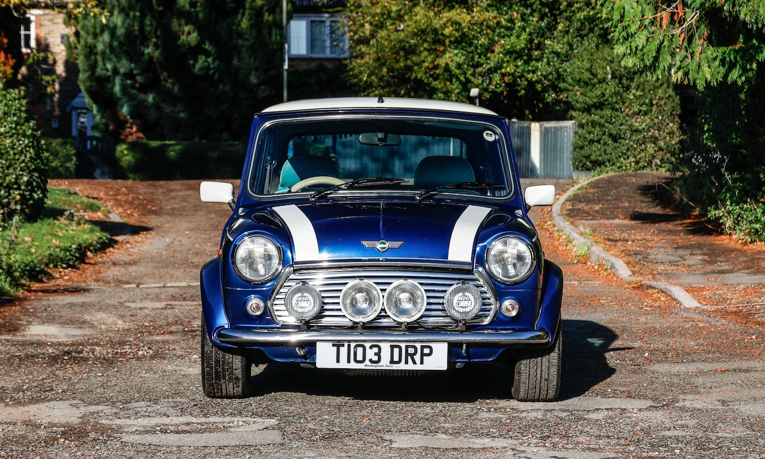 Used Rover Mini 1999 for sale - 77530470: Photo 5