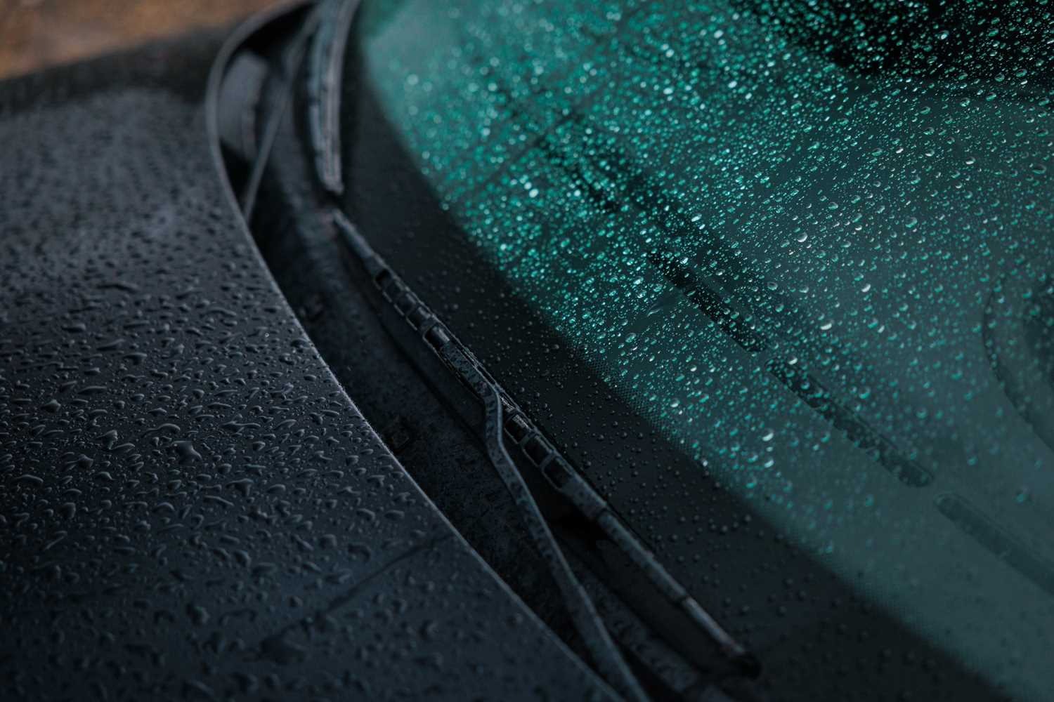 Used BMW Z3 2024 for sale - 76557535: Photo 29