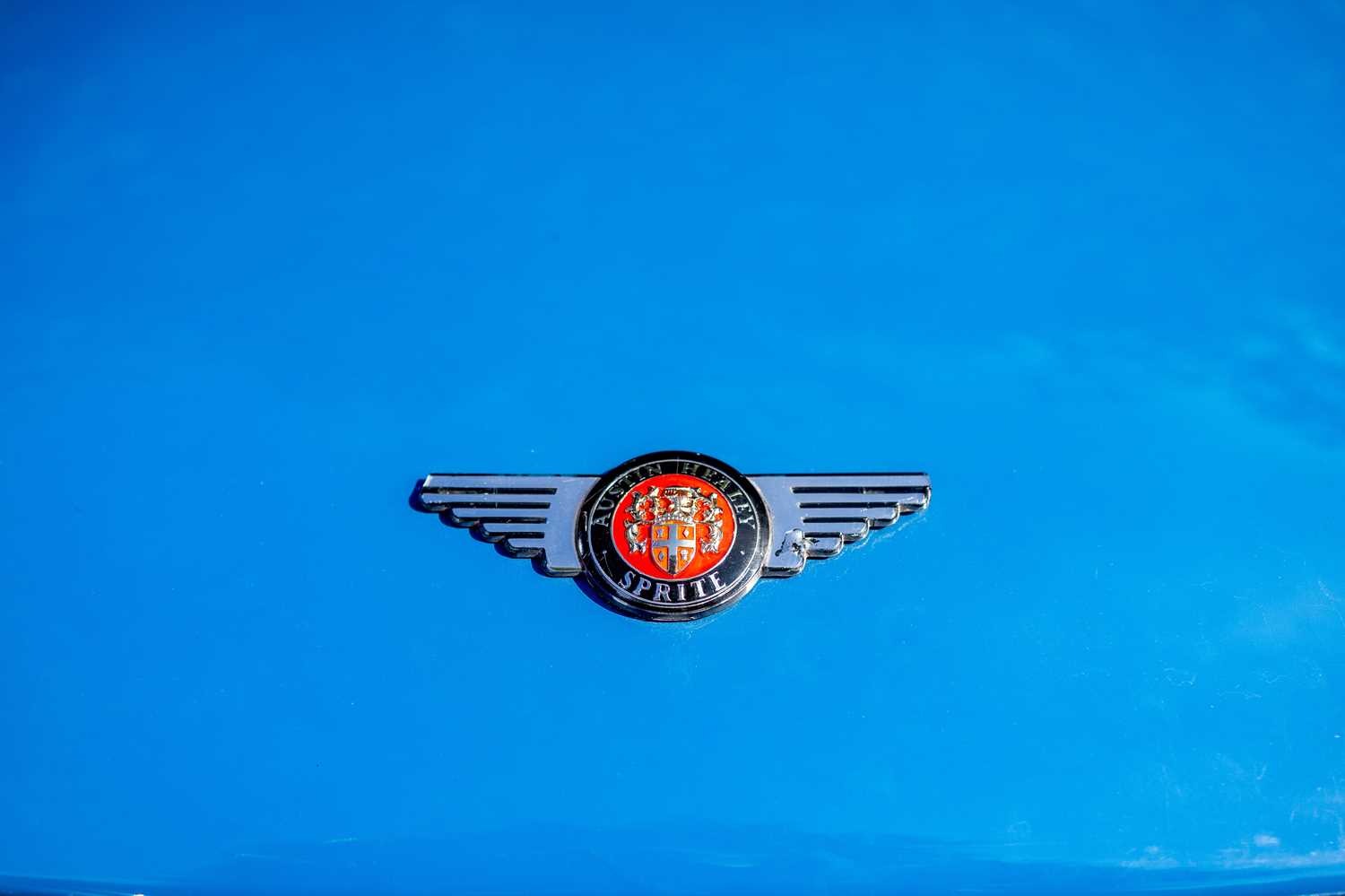Vehicle 44
