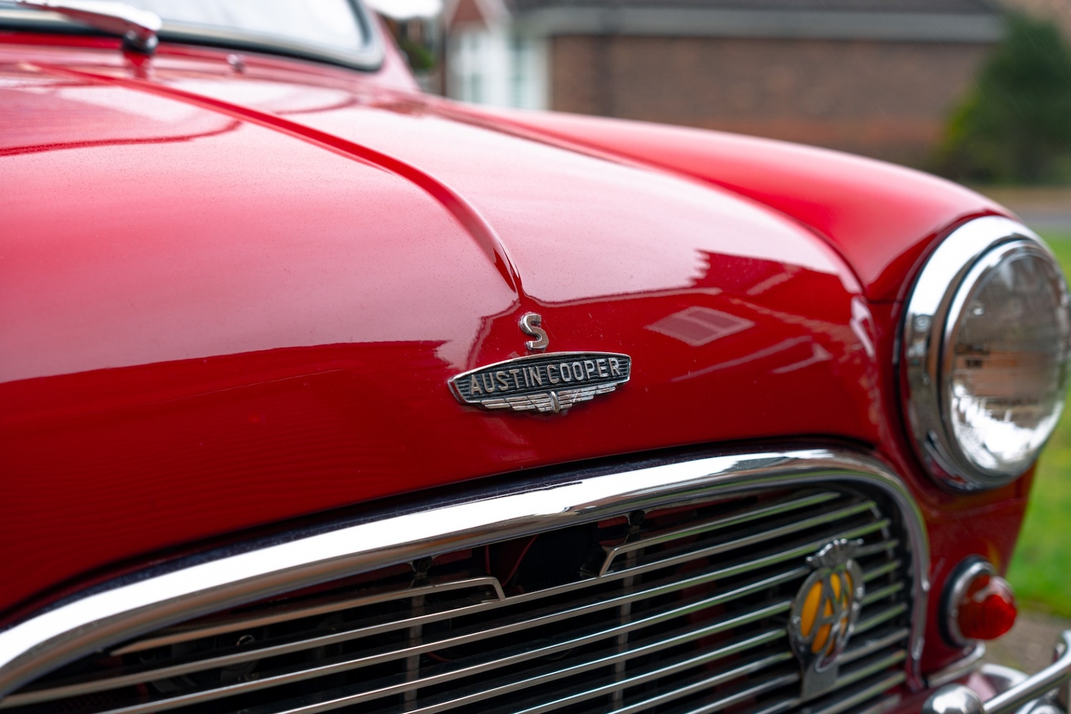 Used Austin Mini 1966 for sale - 77432276: Photo 12