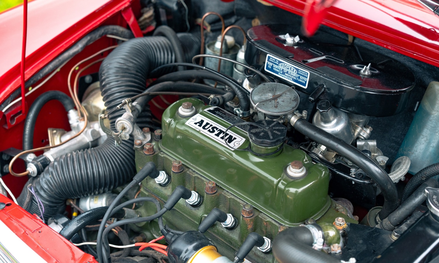 Used Austin Mini 1966 for sale - 77432276: Photo 5