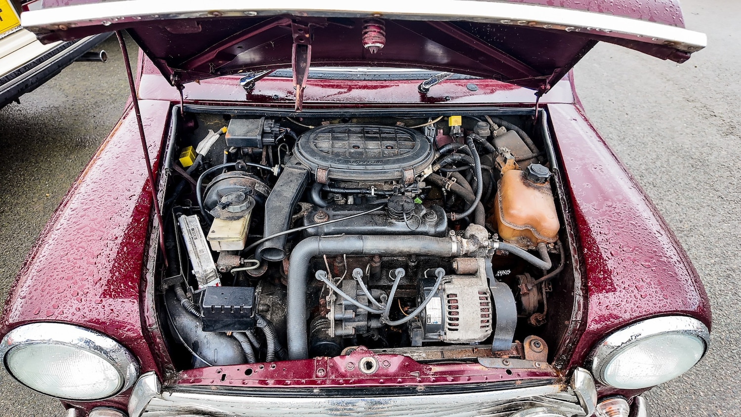 Used Austin Mini 1986 for sale - 77591661: Photo 4