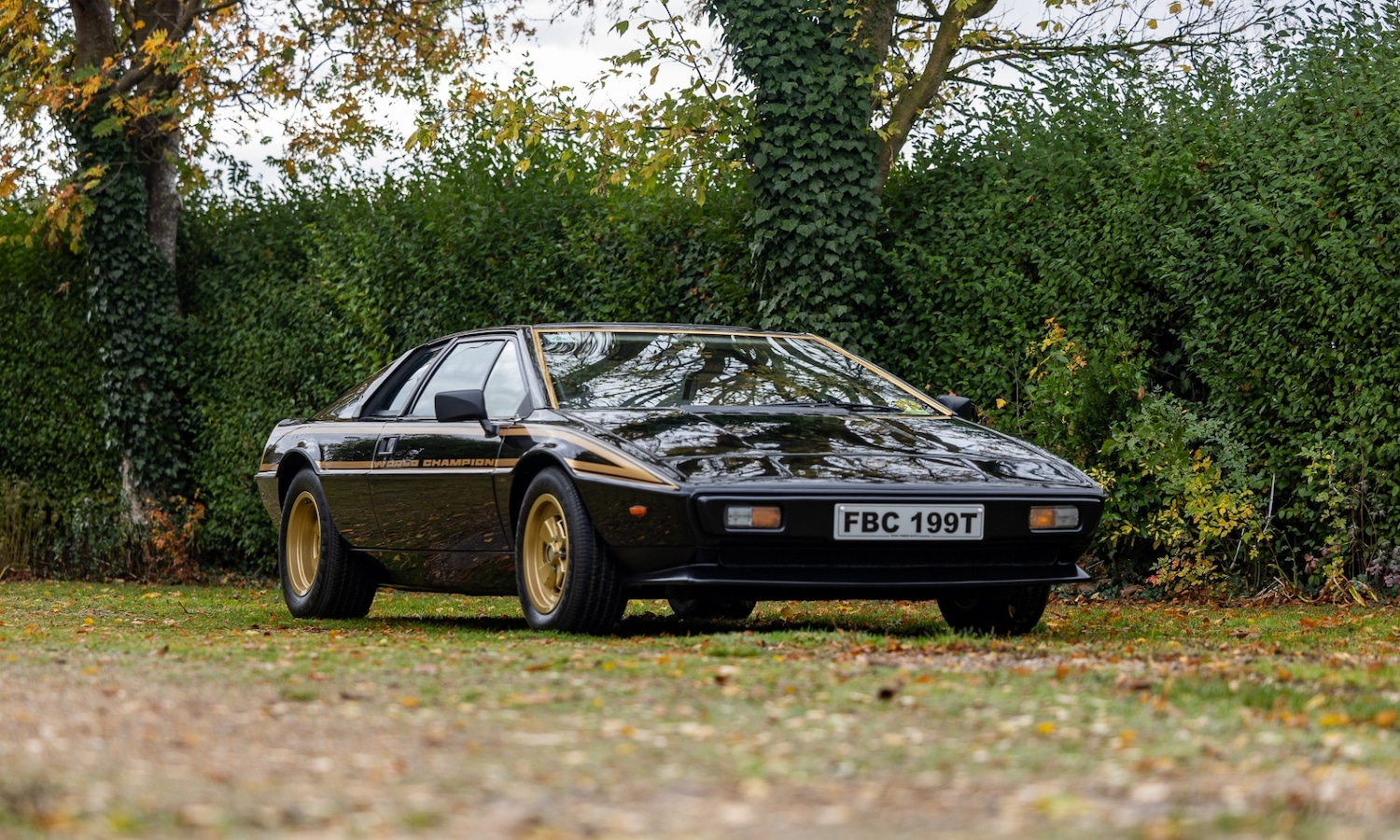 Used Lotus Esprit 1979 for sale - 76402030: Photo 1