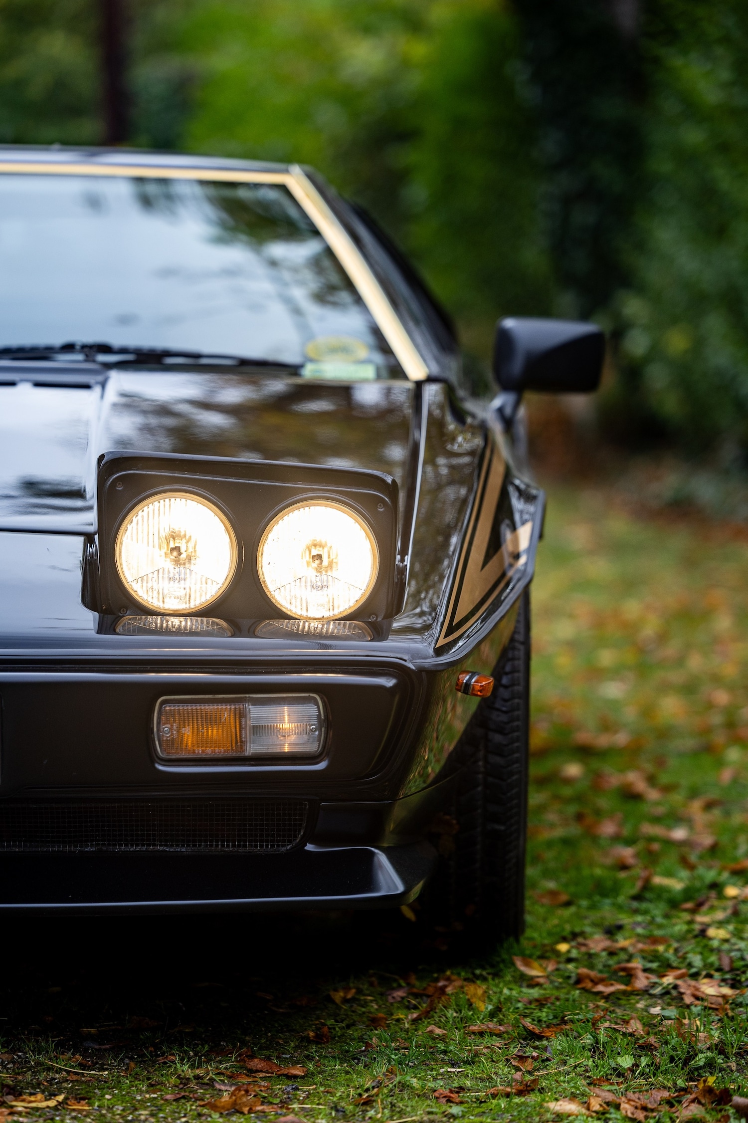 Used Lotus Esprit 1979 for sale - 76402030: Photo 10