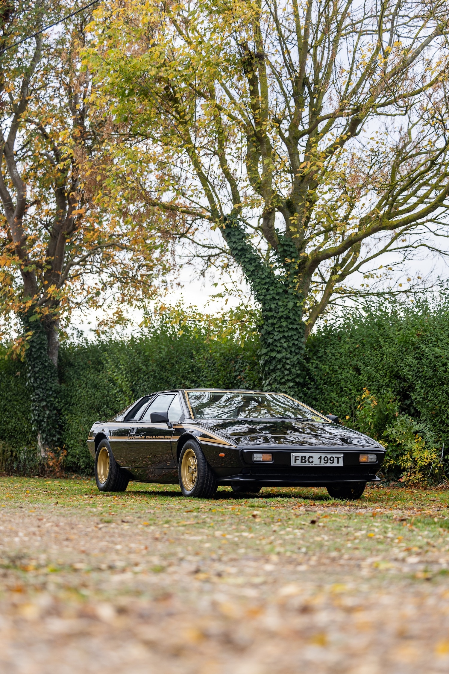 Used Lotus Esprit 1979 for sale - 76402030: Photo 14