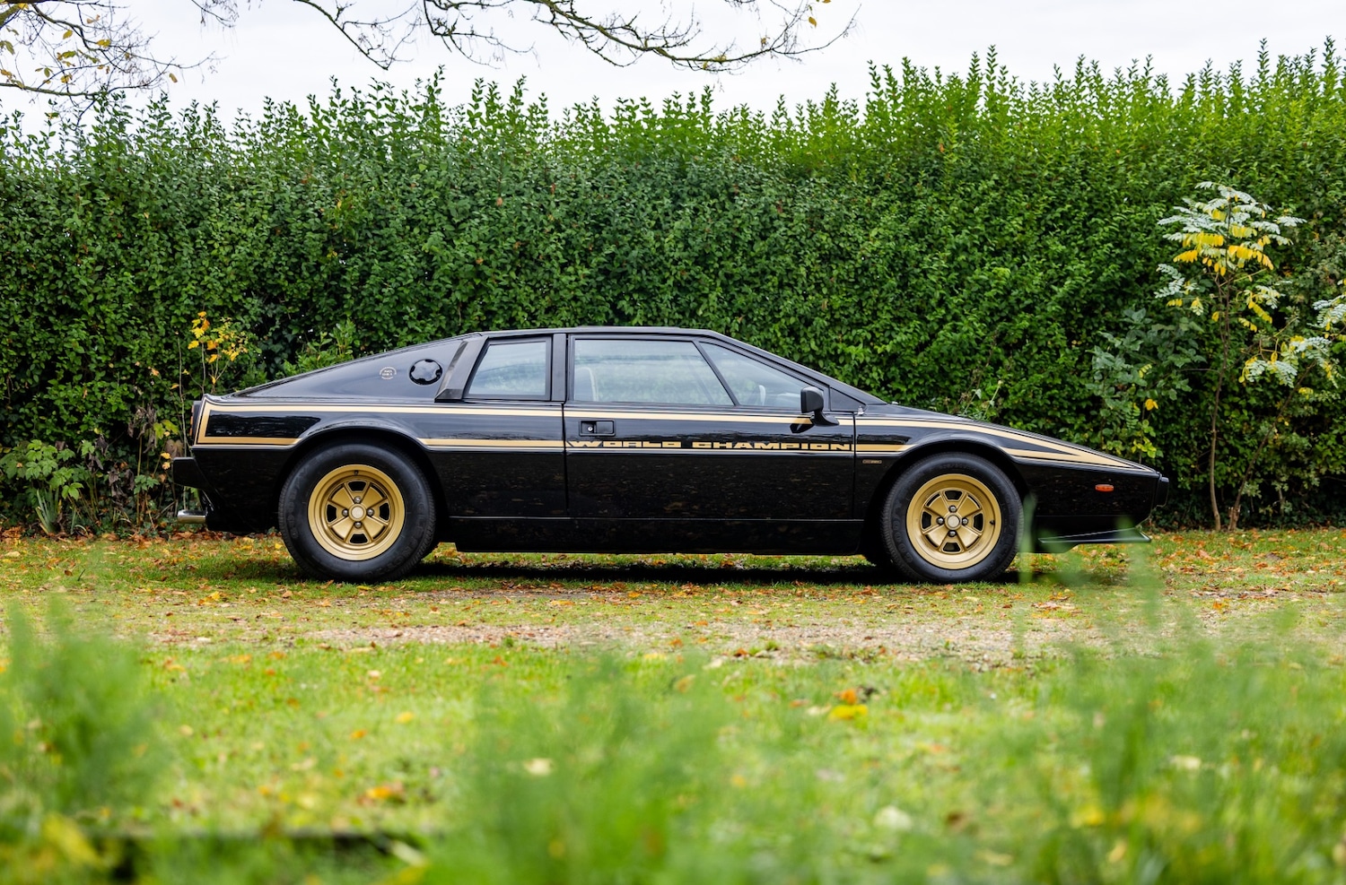 Used Lotus Esprit 1979 for sale - 76402030: Photo 15