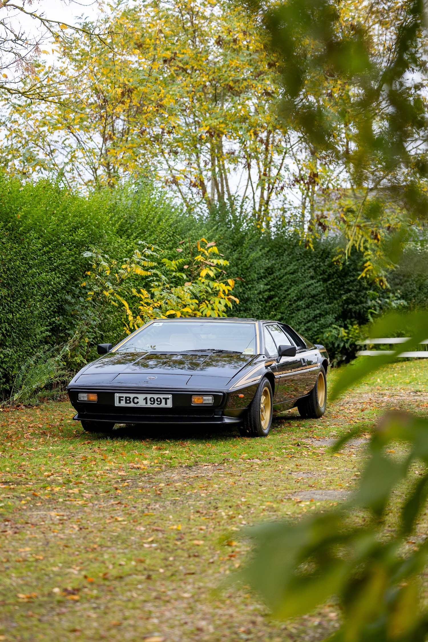 Used Lotus Esprit 1979 for sale - 76402030: Photo 16
