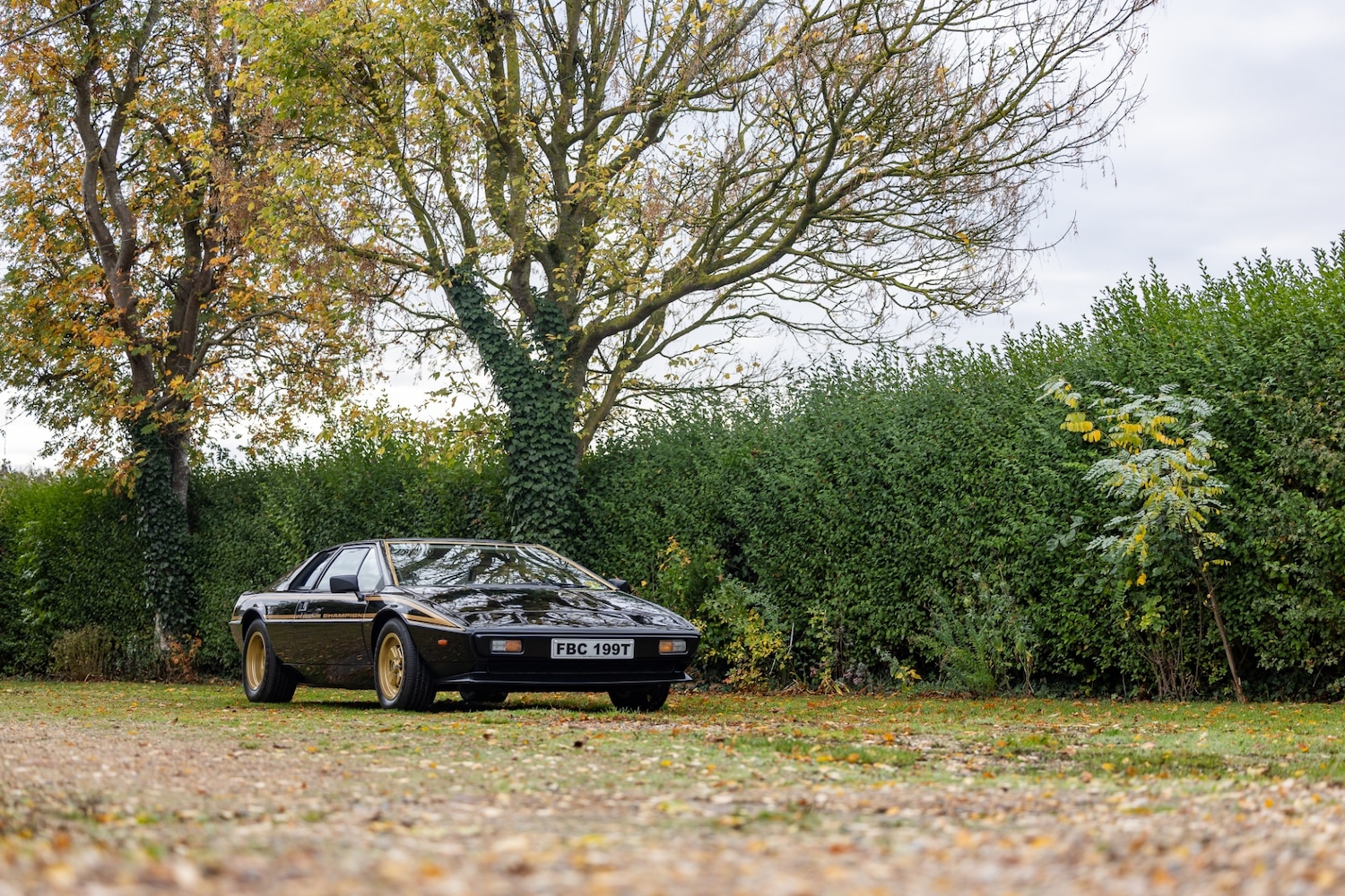 Used Lotus Esprit 1979 for sale - 76402030: Photo 18