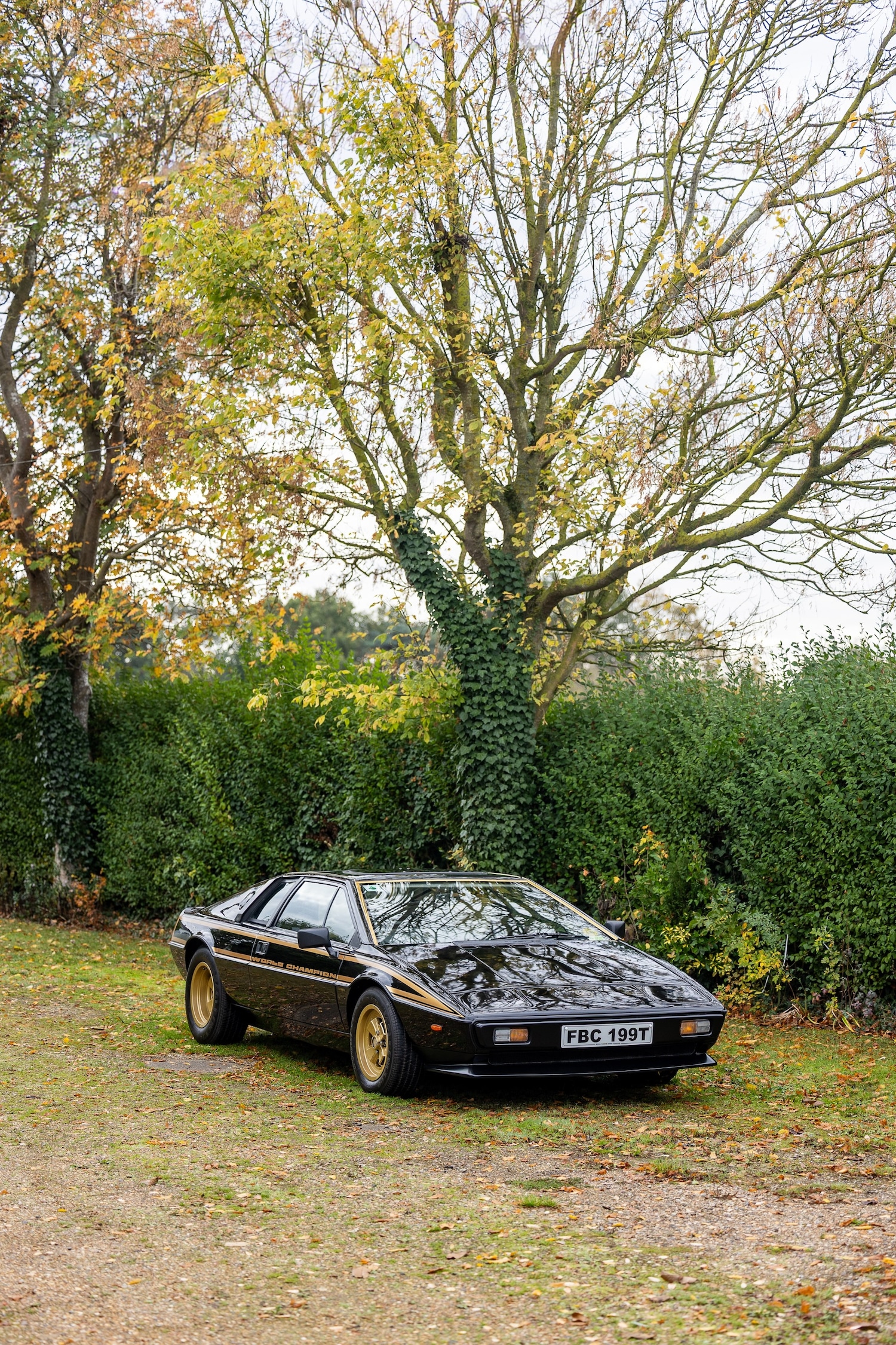 Used Lotus Esprit 1979 for sale - 76402030: Photo 19