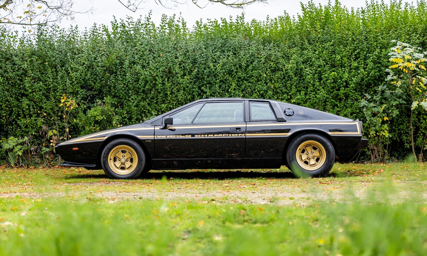 Used Lotus Esprit 1979 for sale - 76402030: Photo 2