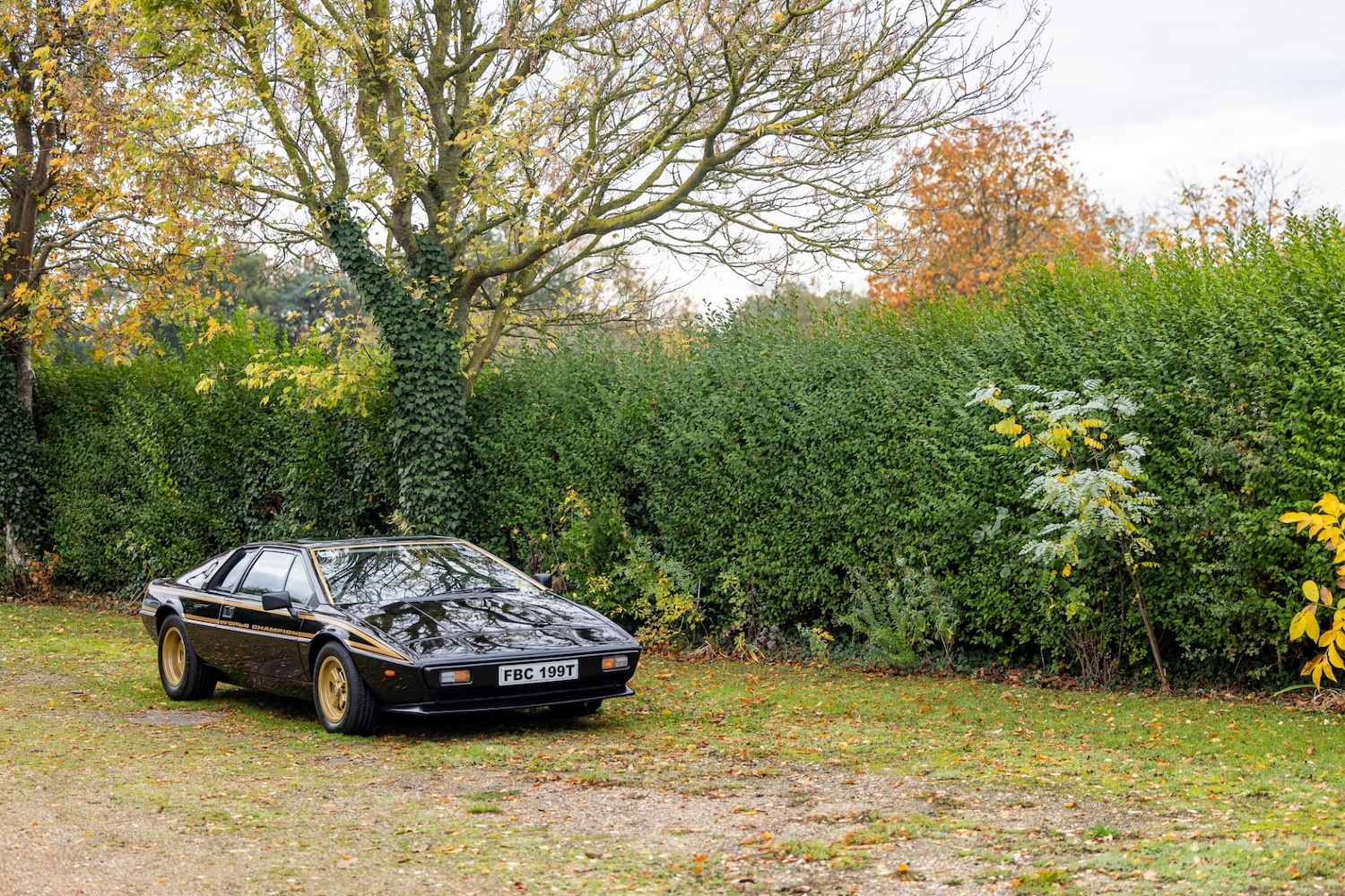 Used Lotus Esprit 1979 for sale - 76402030: Photo 20