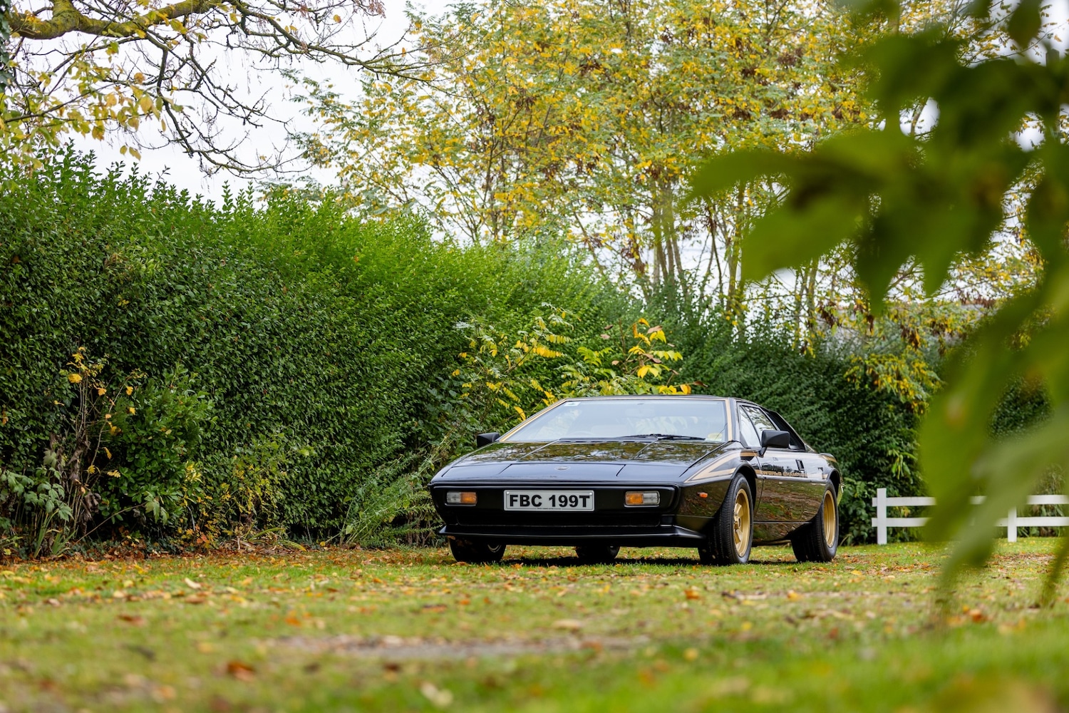 Used Lotus Esprit 1979 for sale - 76402030: Photo 21