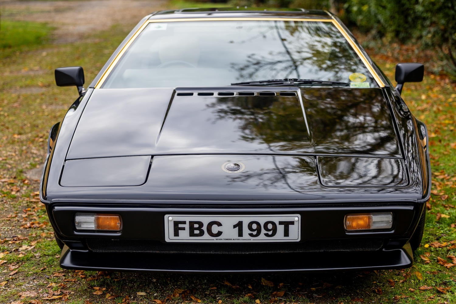Used Lotus Esprit 1979 for sale - 76402030: Photo 23