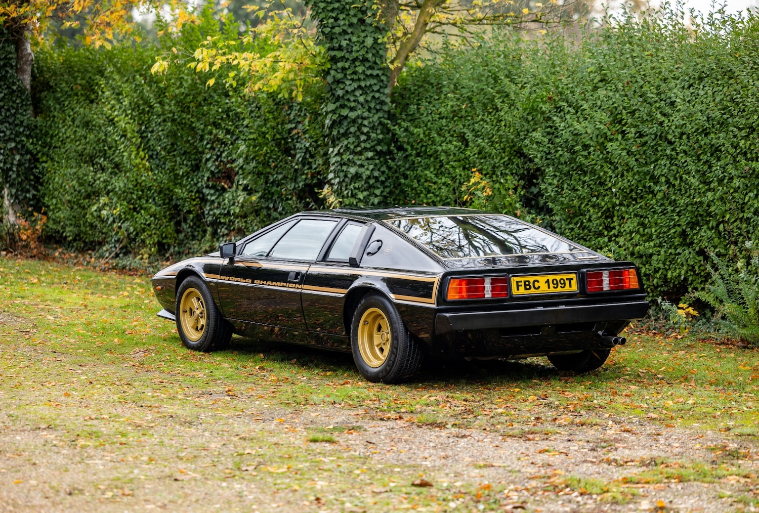 Used Lotus Esprit 1979 for sale - 76402030: Photo 27
