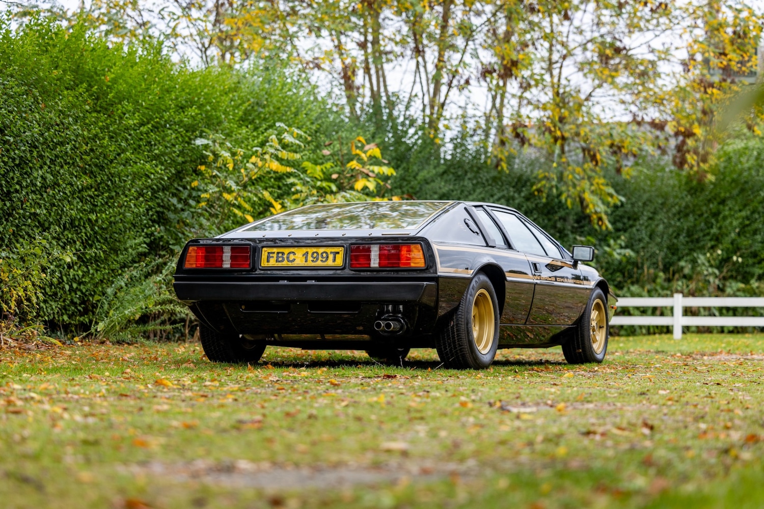 Used Lotus Esprit 1979 for sale - 76402030: Photo 28