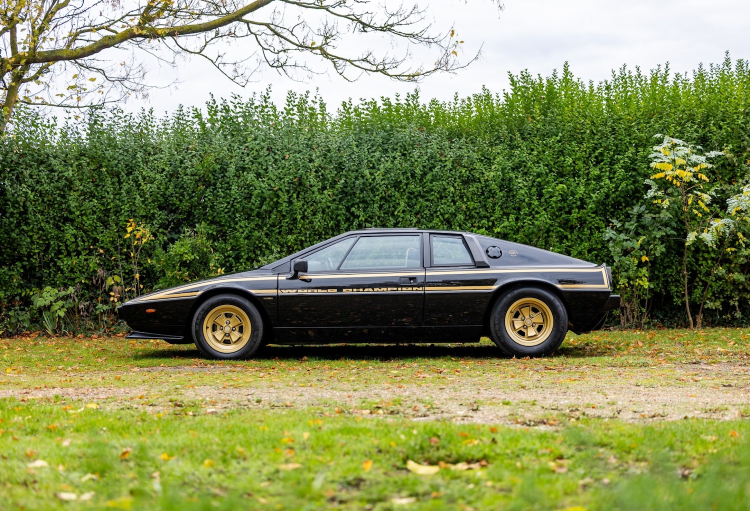 Used Lotus Esprit 1979 for sale - 76402030: Photo 29