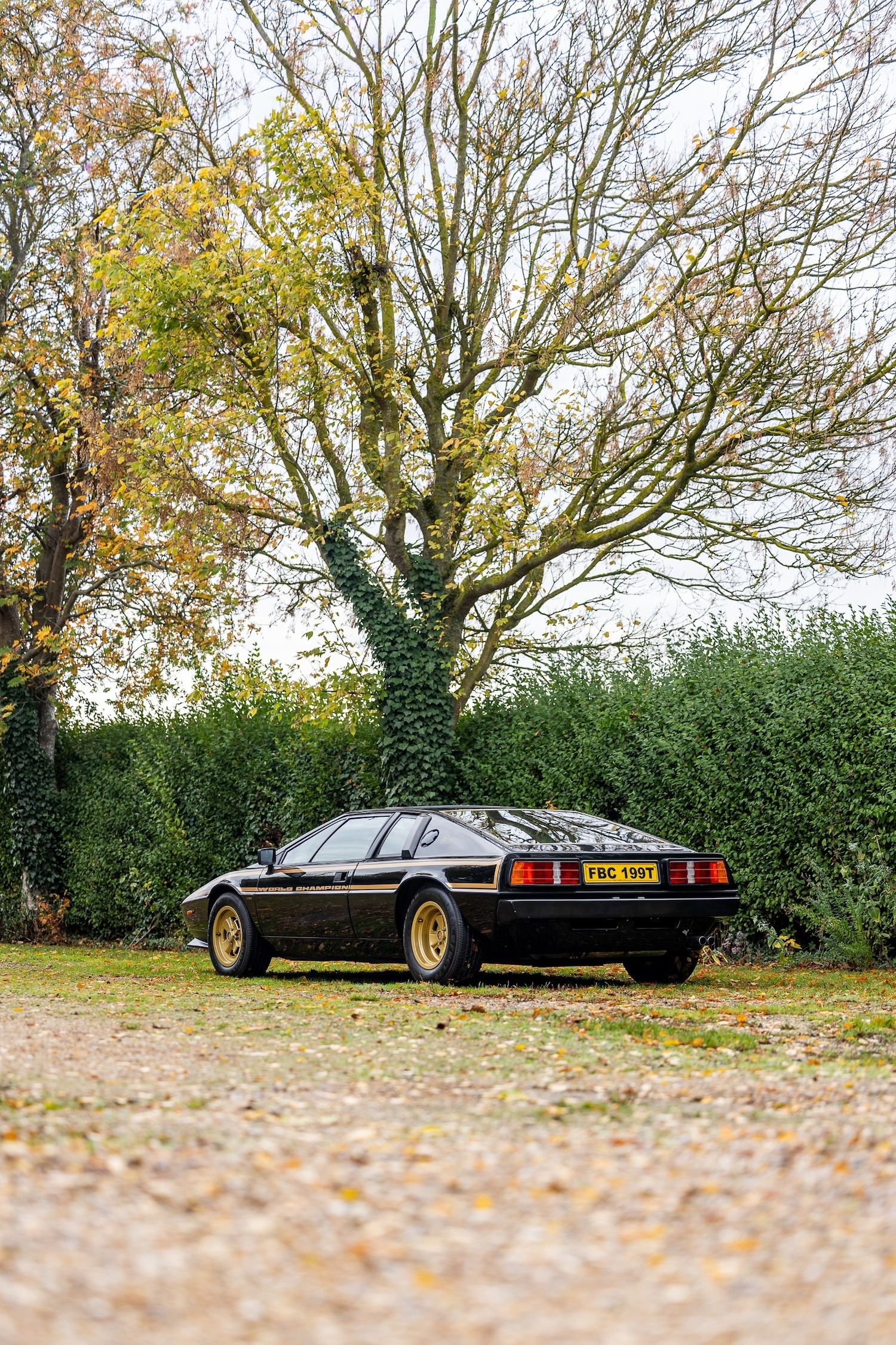 Used Lotus Esprit 1979 for sale - 76402030: Photo 32