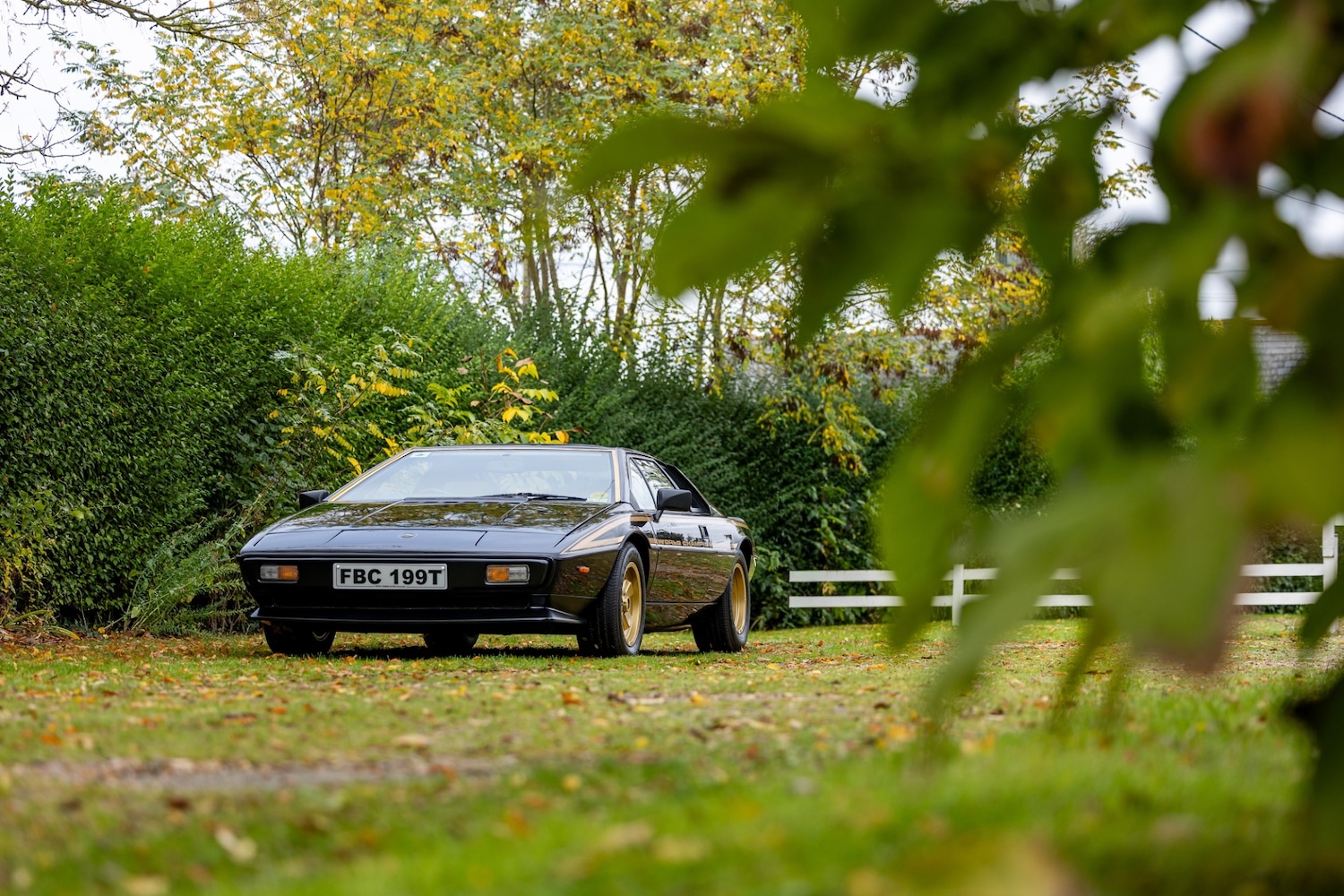 Used Lotus Esprit 1979 for sale - 76402030: Photo 33