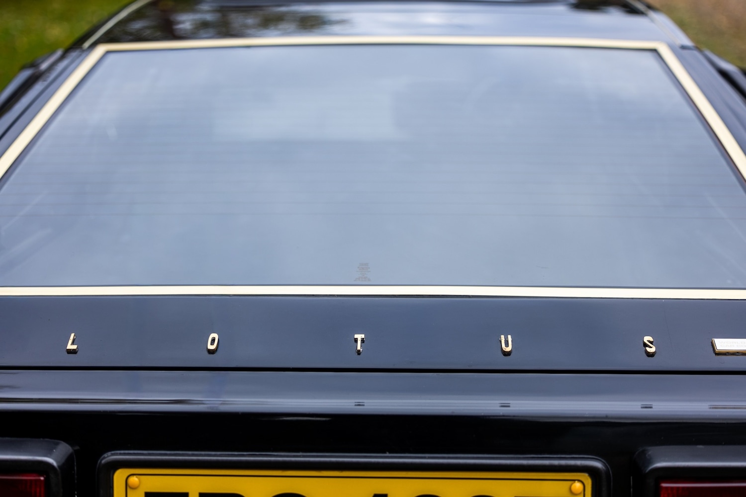 Used Lotus Esprit 1979 for sale - 76402030: Photo 34
