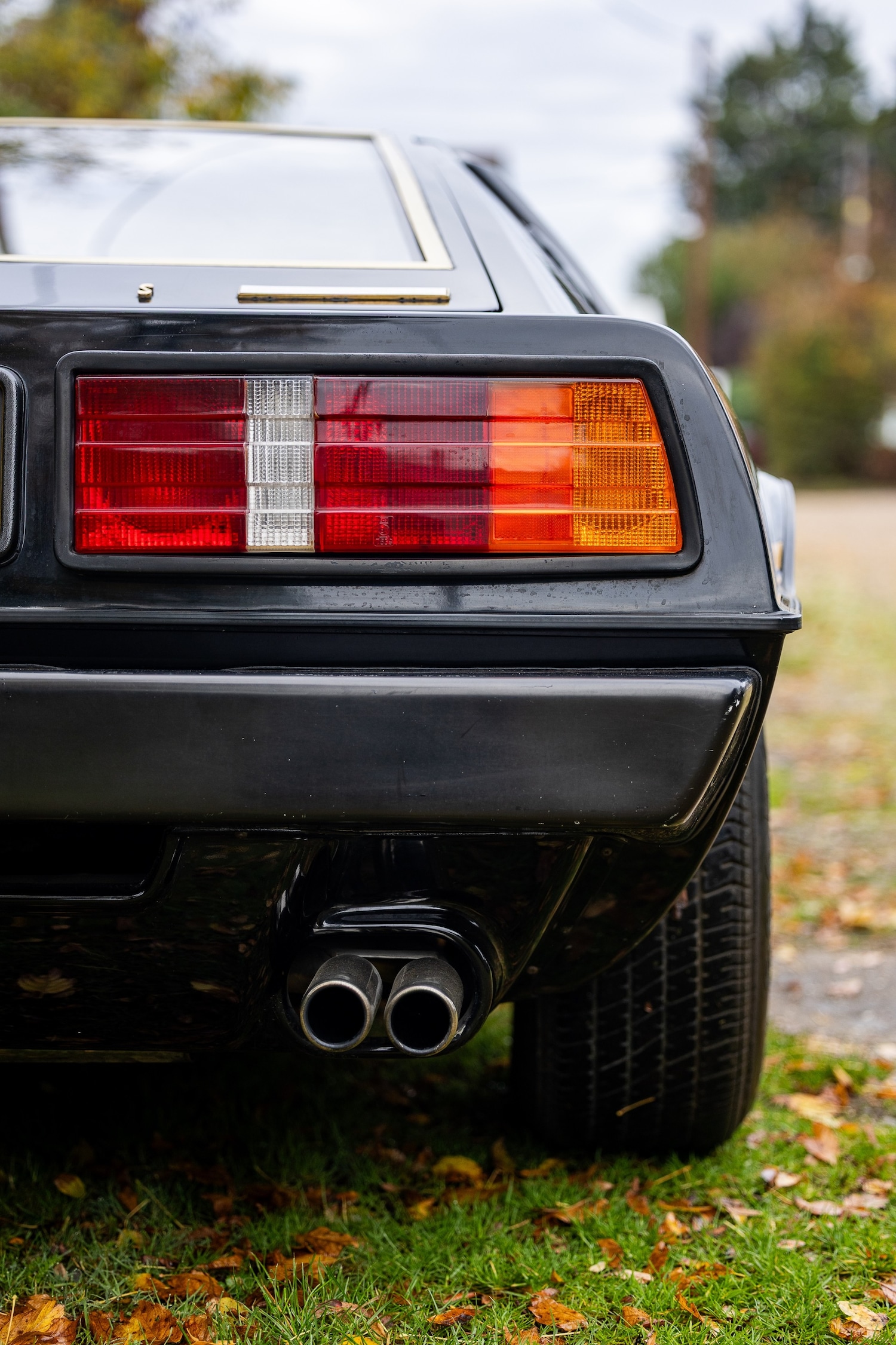 Used Lotus Esprit 1979 for sale - 76402030: Photo 43