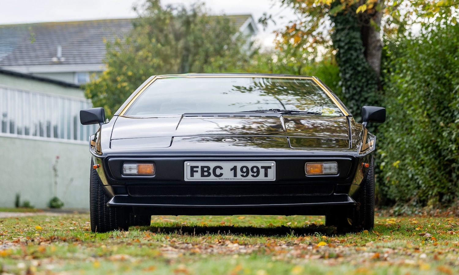 Used Lotus Esprit 1979 for sale - 76402030: Photo 6