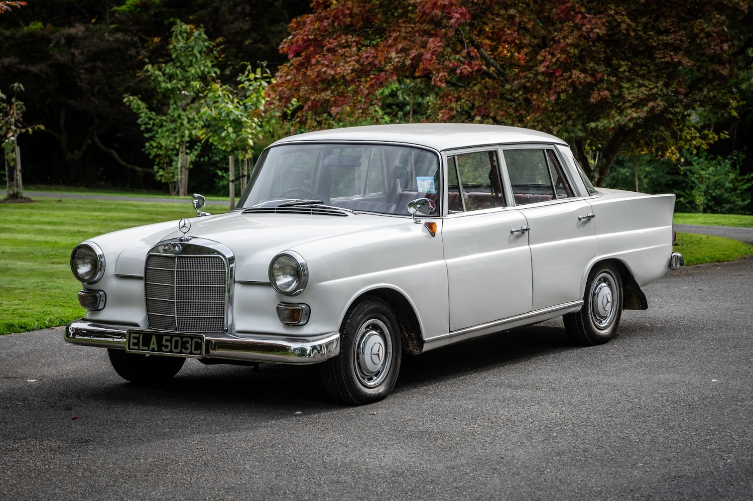 Used Mercedes-Benz 190 1965 for sale - 76493622: Photo 9