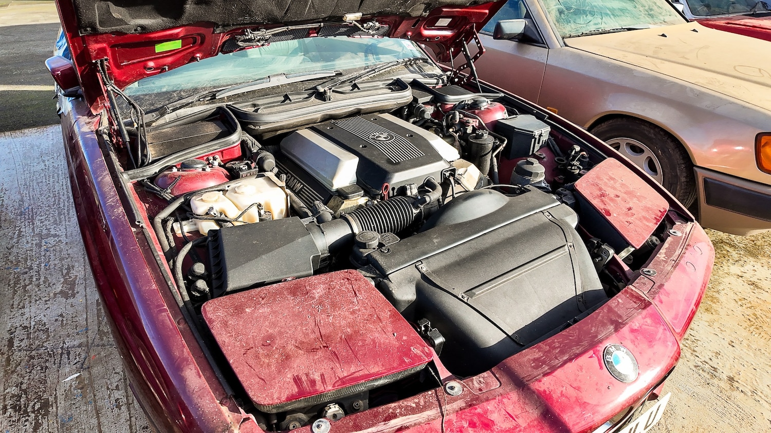 Used BMW 8 Series 1996 for sale - 77579831: Photo 4