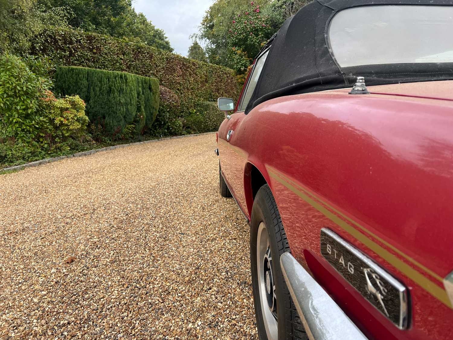 Used Triumph Stag 1976 for sale - 76391525: Photo 21