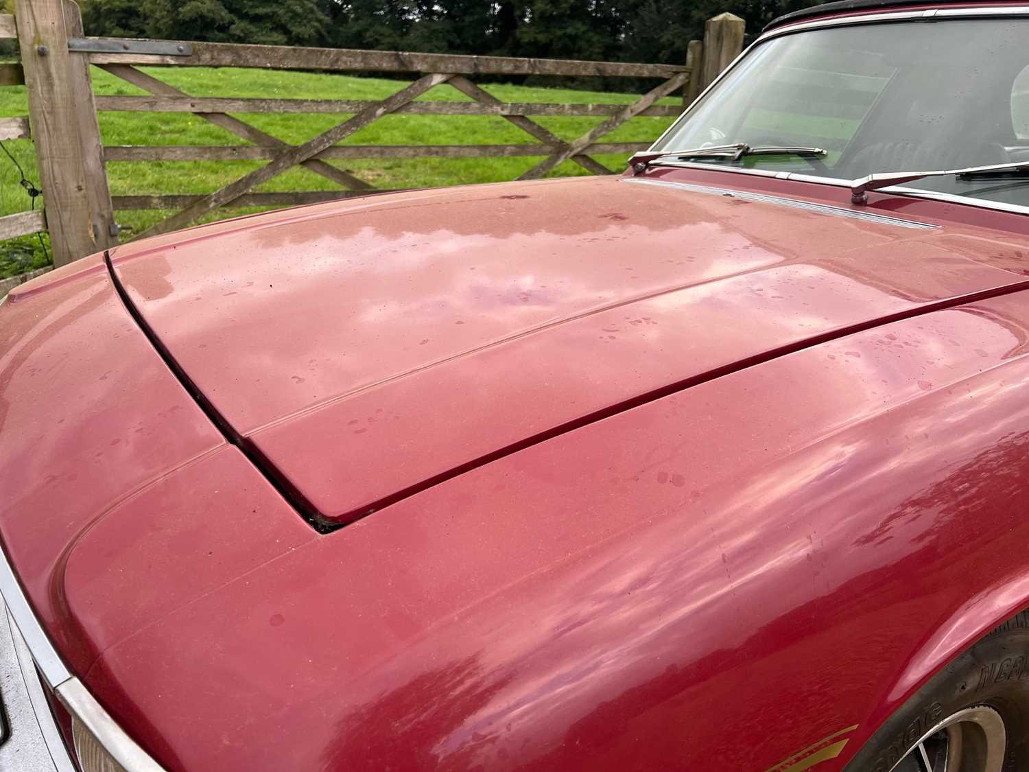 Used Triumph Stag 1976 for sale - 76391525: Photo 8