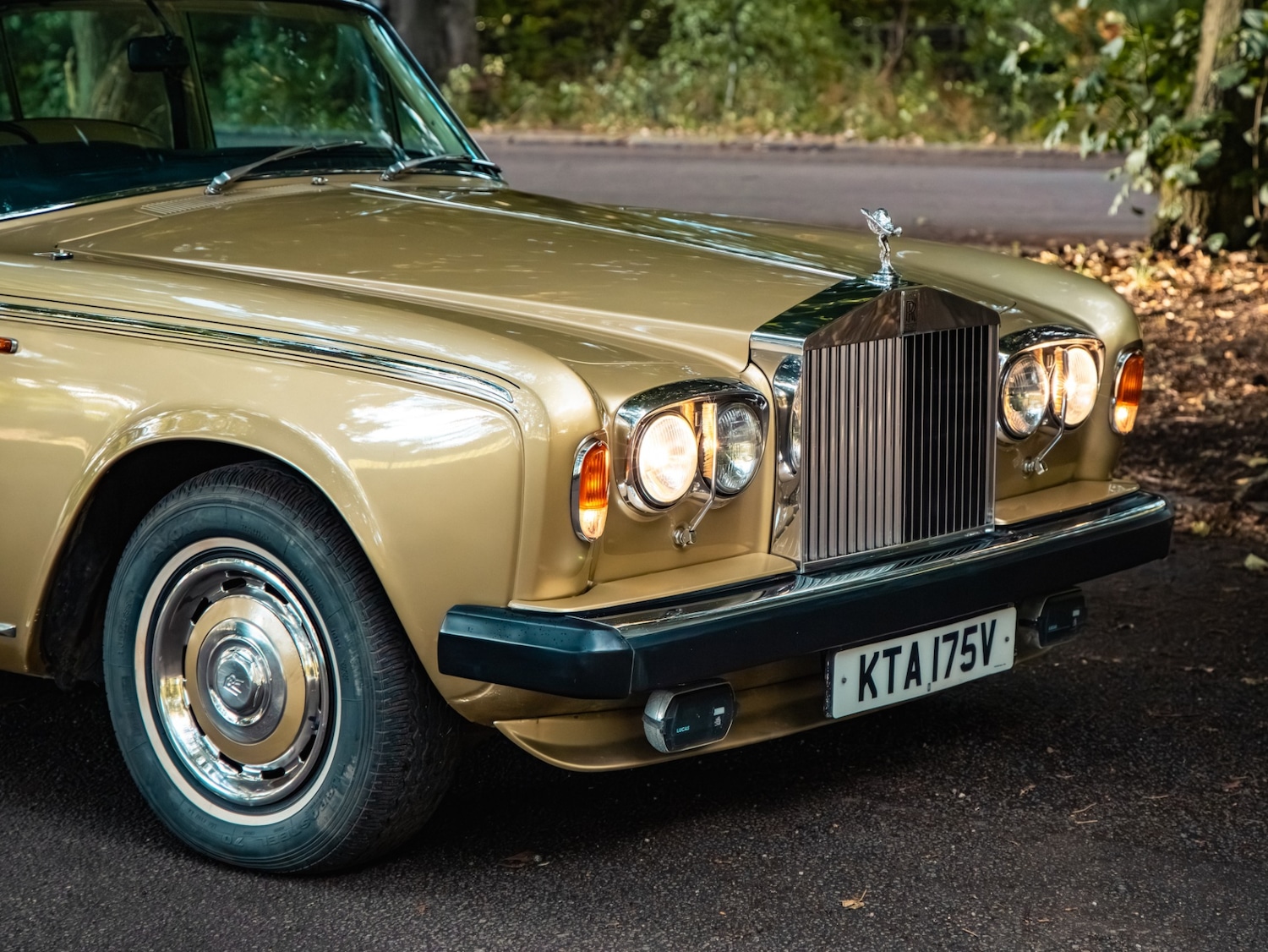 Used Rolls-Royce Silver Shadow 1980 for sale - 77445768: Photo 13