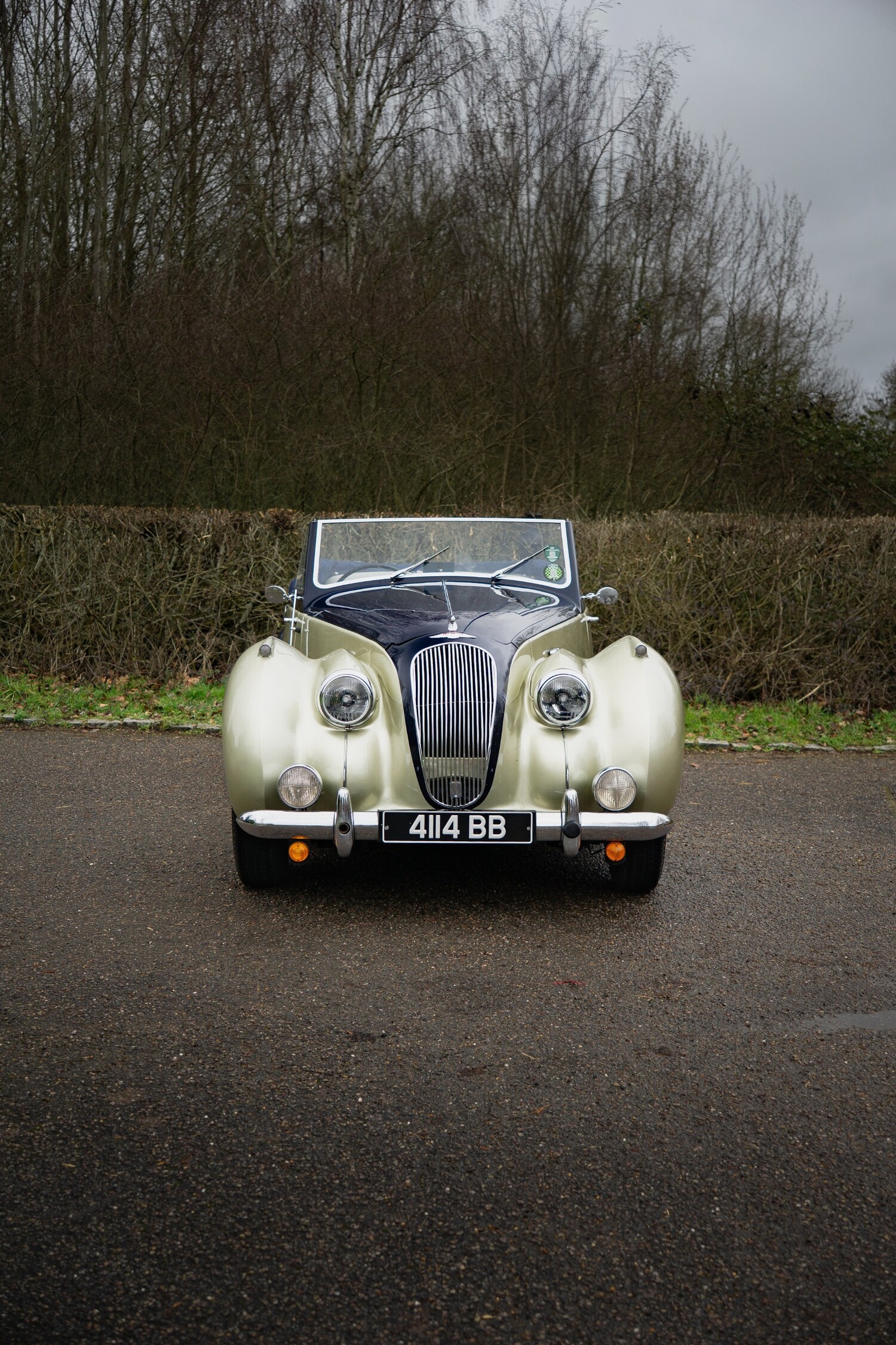 Used Lagonda 2.6 Litre 1951 for sale - 77502896: Photo 21