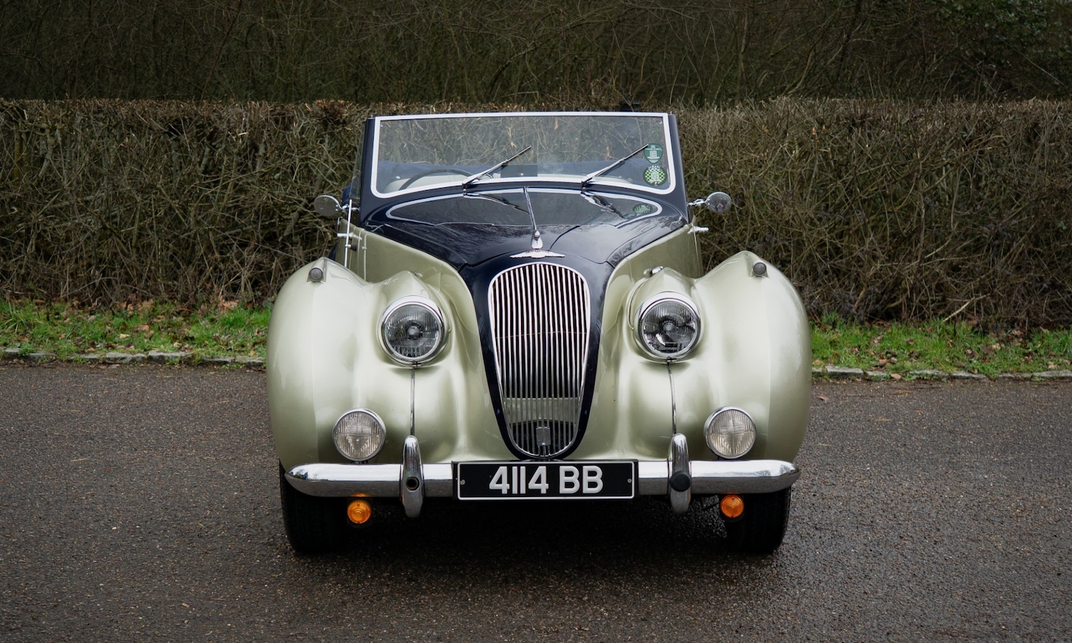 Used Lagonda 2.6 Litre 1951 for sale - 77502896: Photo 6