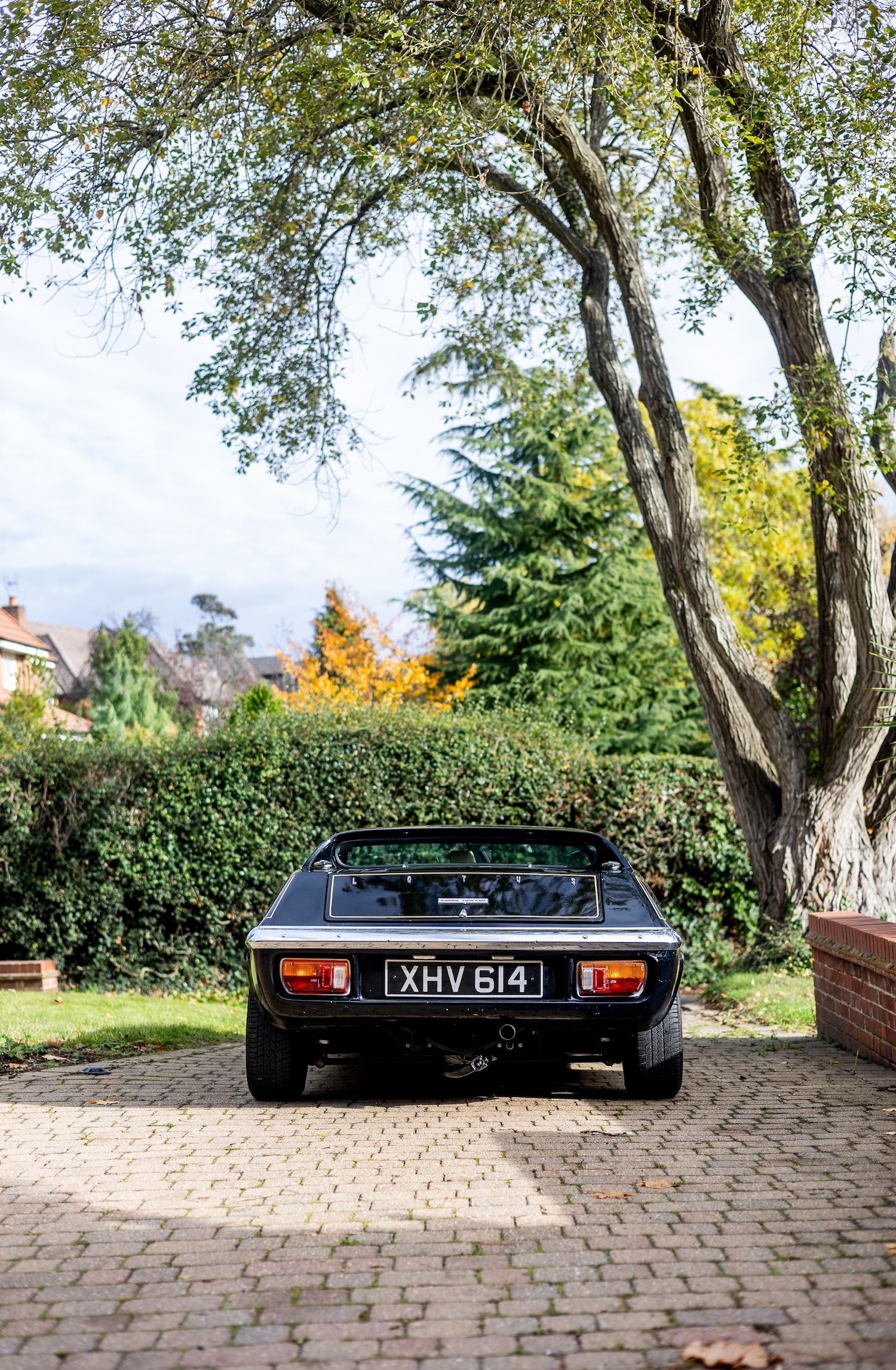 Used Lotus Europa 1972 for sale - 76478036: Photo 12