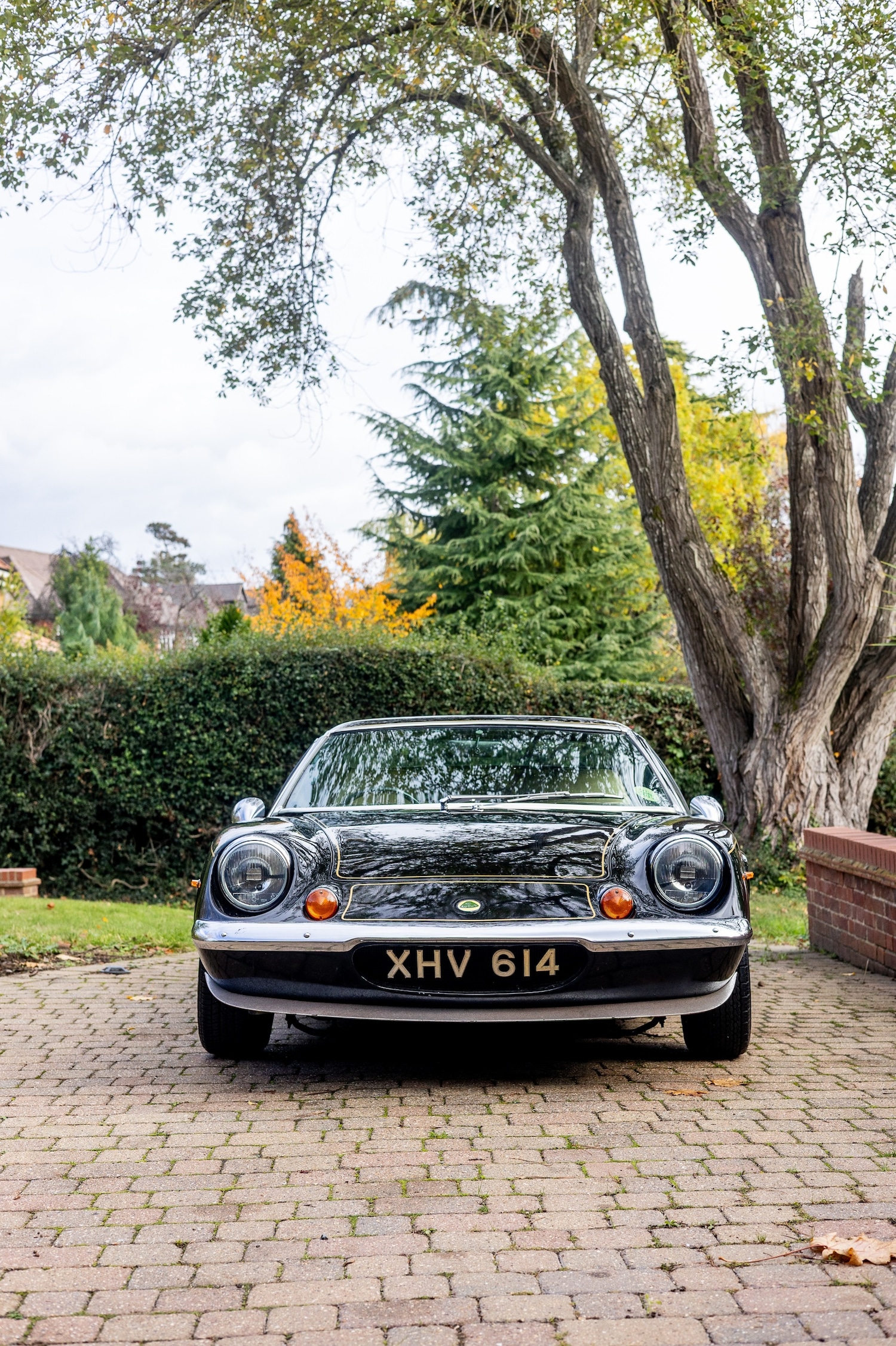 Used Lotus Europa 1972 for sale - 76478036: Photo 14