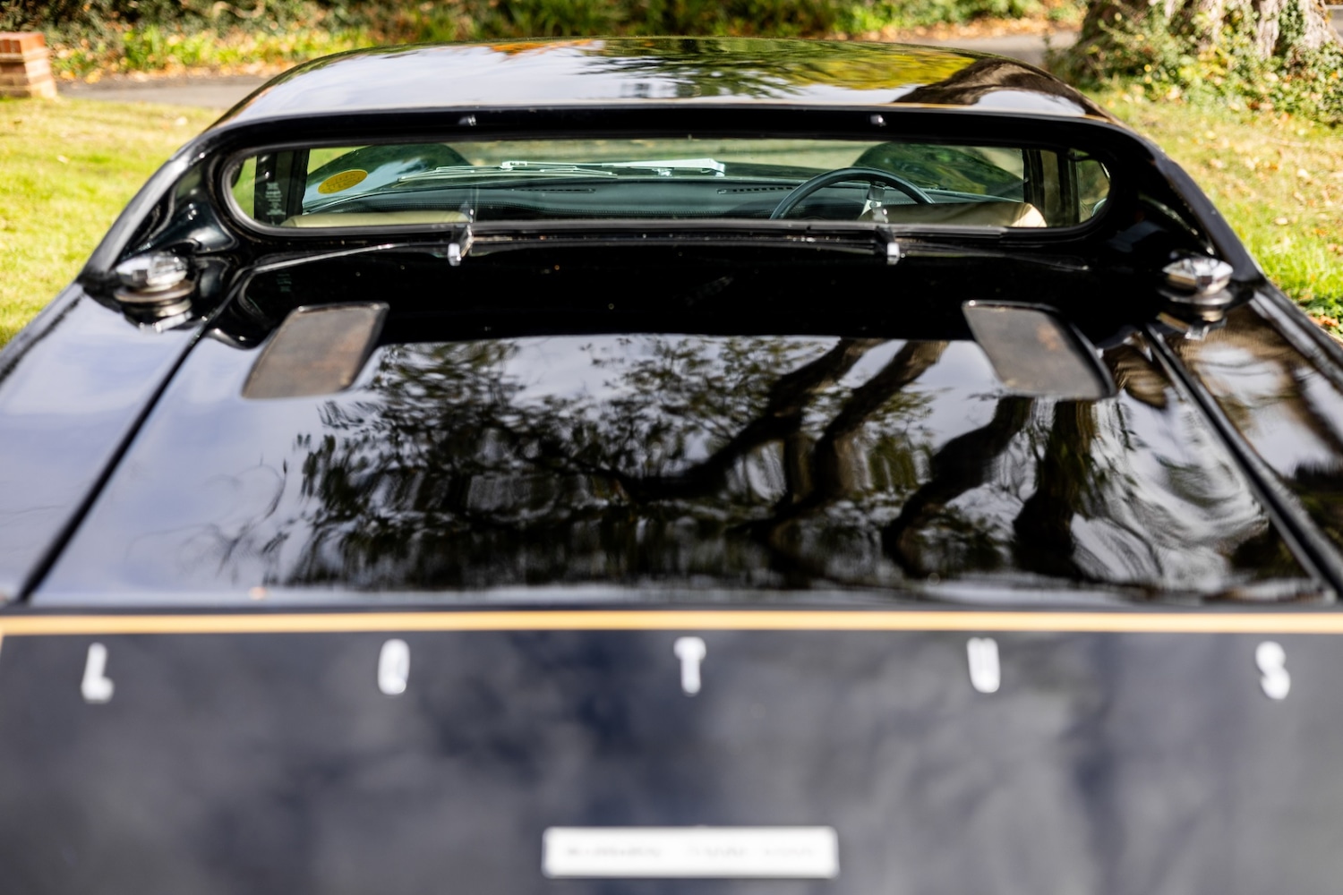 Used Lotus Europa 1972 for sale - 76478036: Photo 25