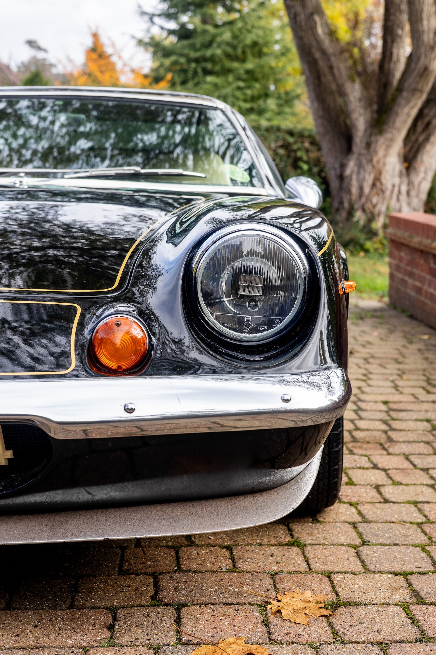 Used Lotus Europa 1972 for sale - 76478036: Photo 30