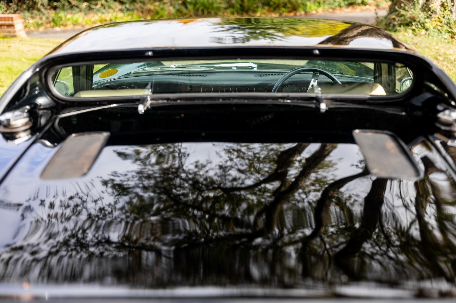 Used Lotus Europa 1972 for sale - 76478036: Photo 31