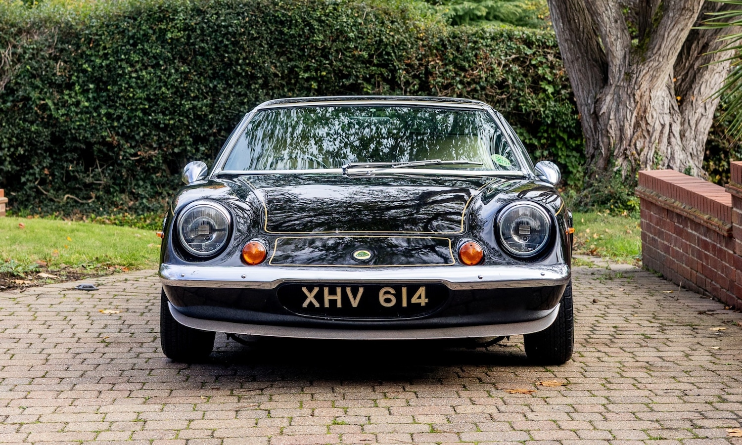 Used Lotus Europa 1972 for sale - 76478036: Photo 6