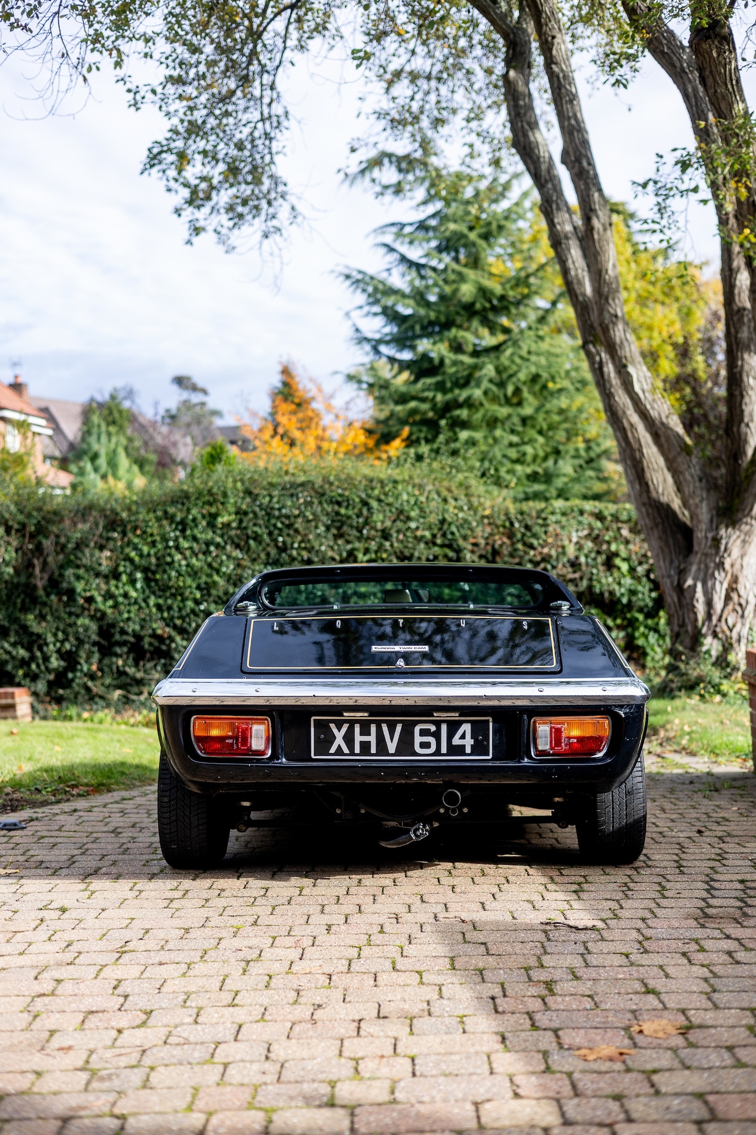 Used Lotus Europa 1972 for sale - 76478036: Photo 7