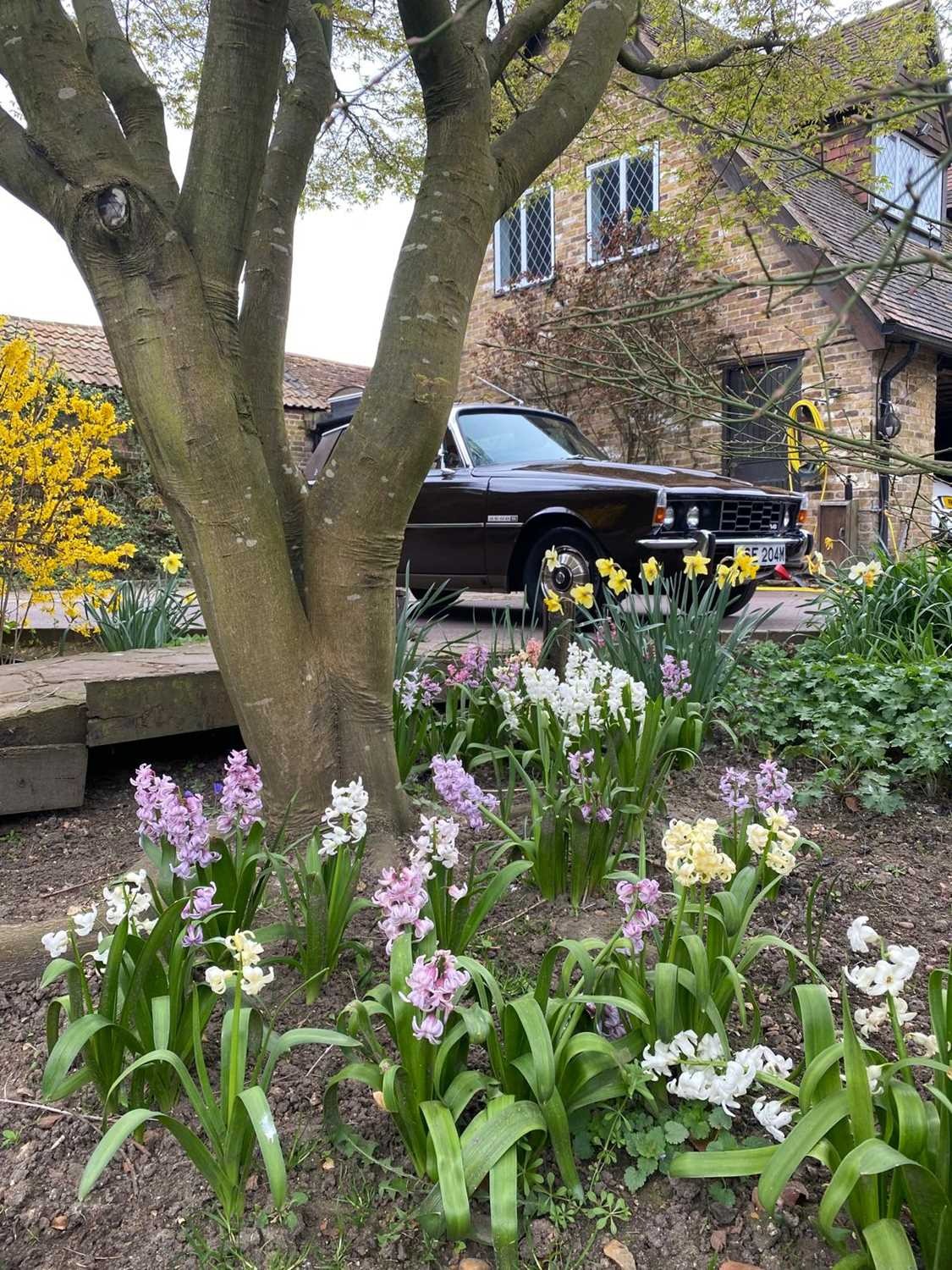 Used Rover P6 1974 for sale - 76554772: Photo 13